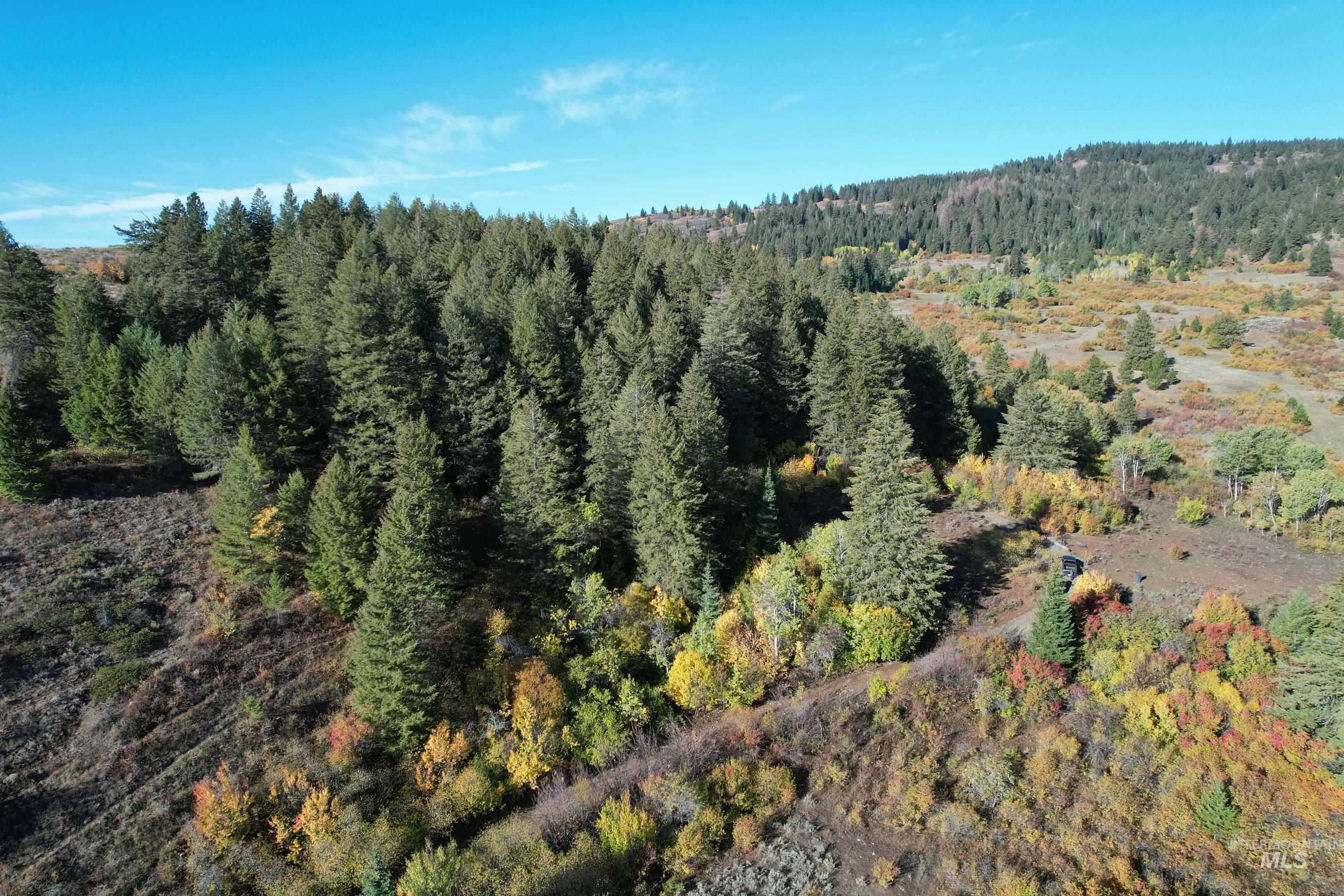 1700 Jackson Creek Road, Council, Idaho 83612, 2 Bedrooms, 2 Bathrooms, Farm & Ranch For Sale, Price $1,850,000,MLS 98973113