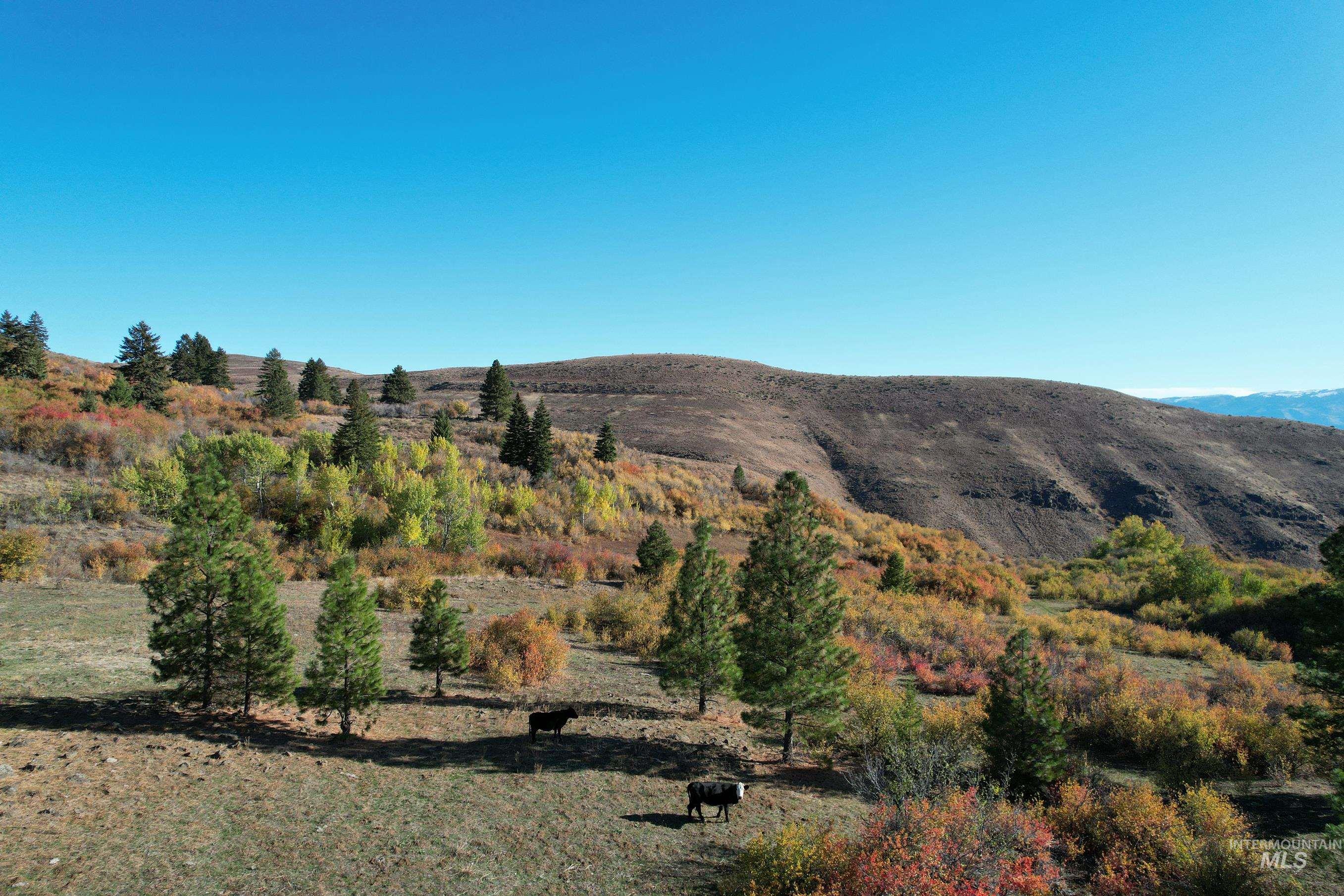 1700 Jackson Creek Road, Council, Idaho 83612, 2 Bedrooms, 2 Bathrooms, Farm & Ranch For Sale, Price $1,850,000,MLS 98973113