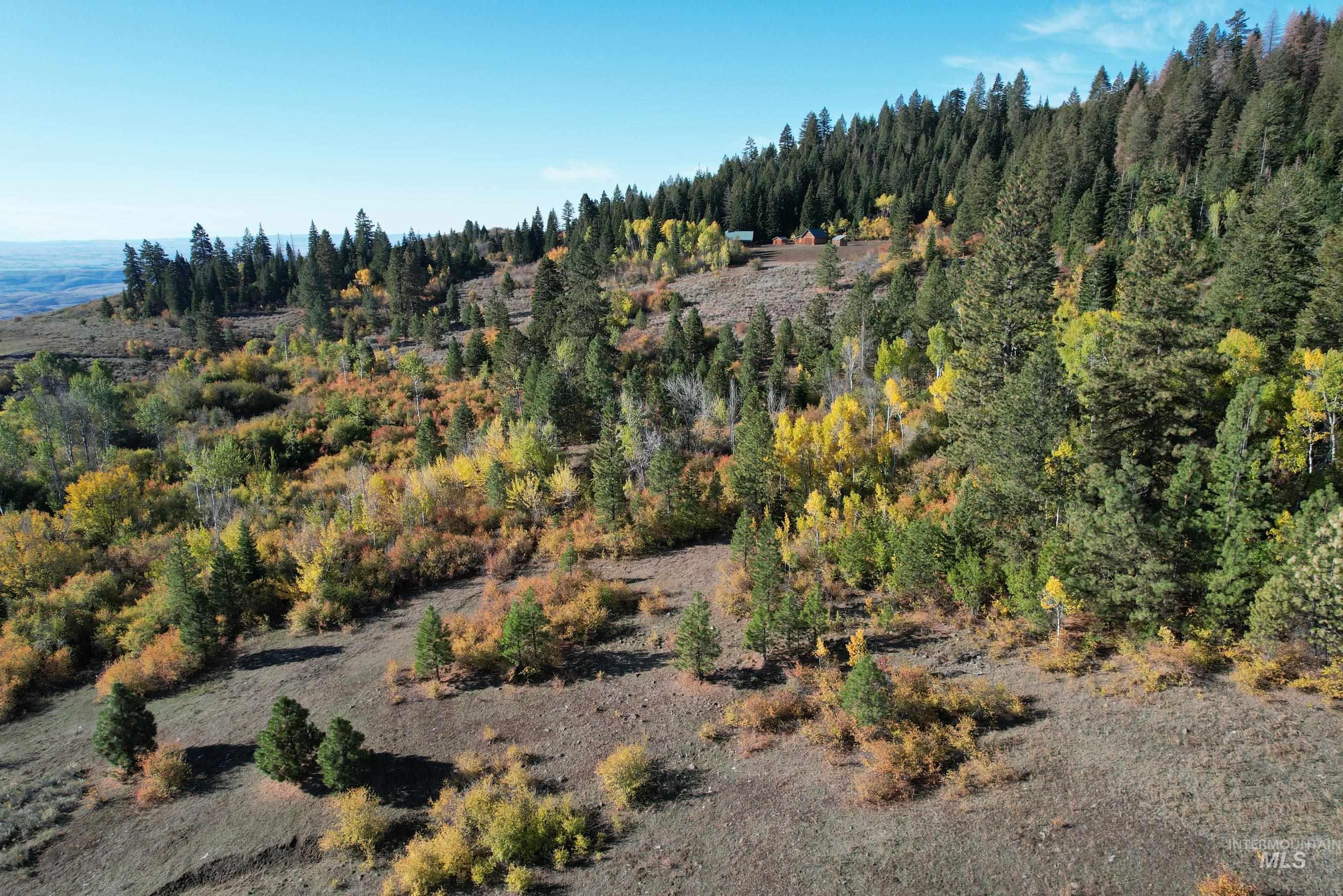 1700 Jackson Creek Road, Council, Idaho 83612, 2 Bedrooms, 2 Bathrooms, Farm & Ranch For Sale, Price $1,850,000,MLS 98973113