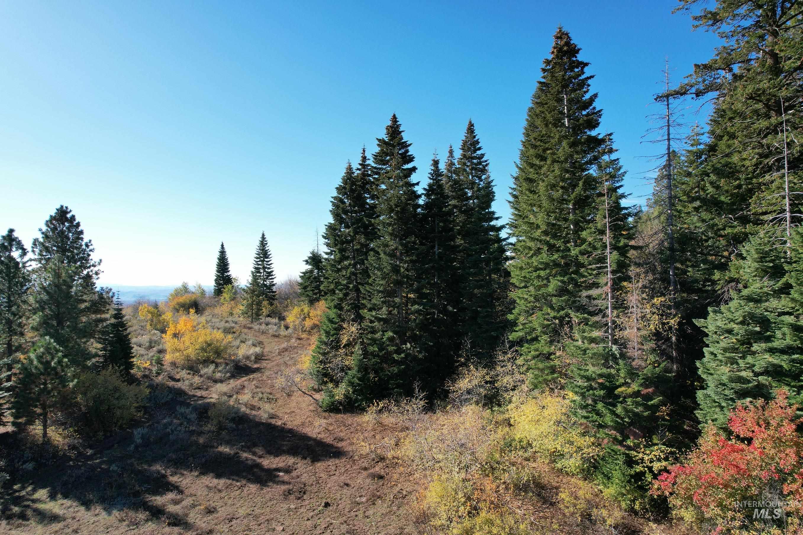 1700 Jackson Creek Road, Council, Idaho 83612, 2 Bedrooms, 2 Bathrooms, Farm & Ranch For Sale, Price $1,850,000,MLS 98973113
