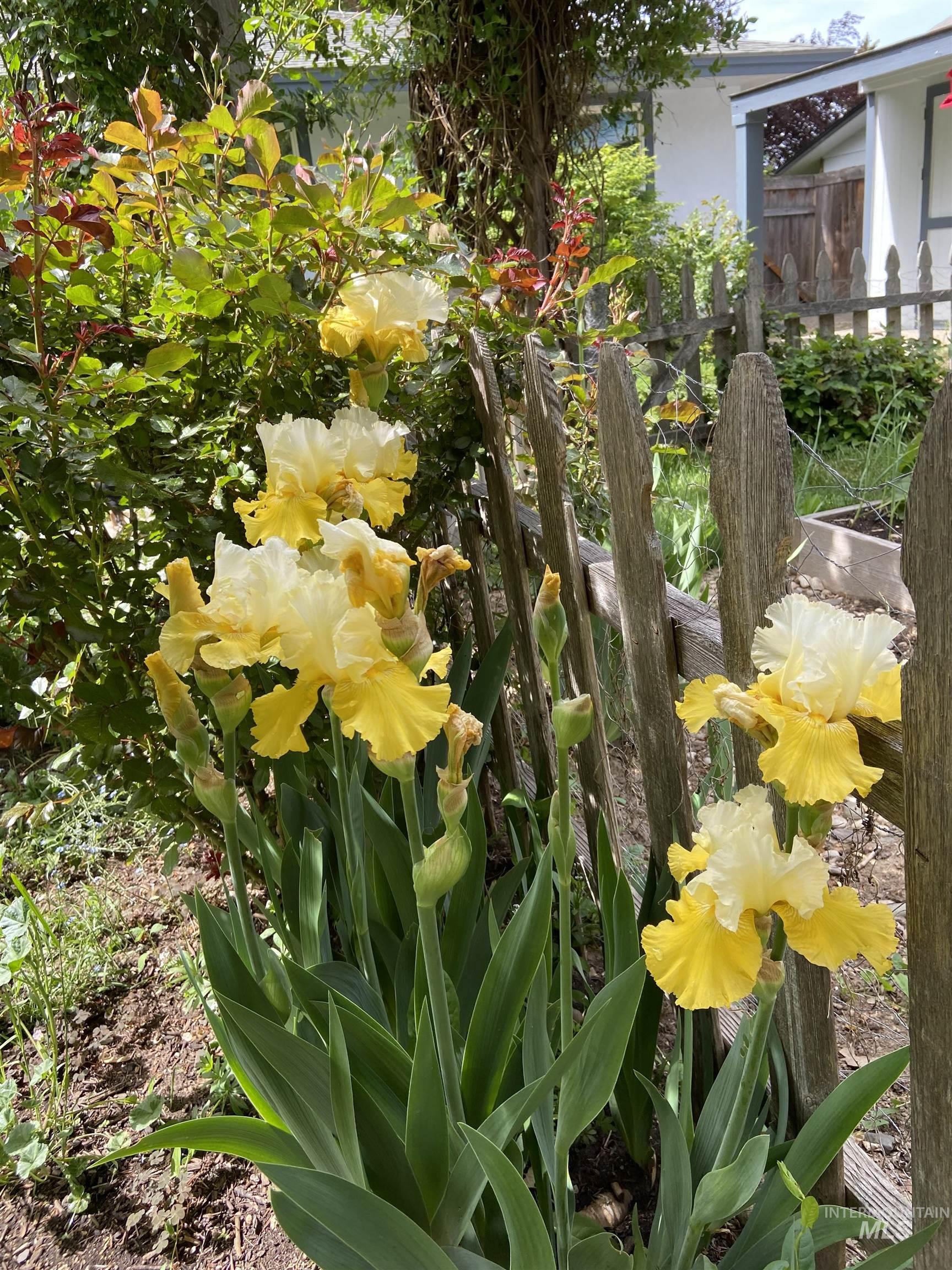 8510 W Crestwood Dr, Boise, Idaho 83704-3033, 3 Bedrooms, 2 Bathrooms, Residential For Sale, Price $488,000,MLS 98973163