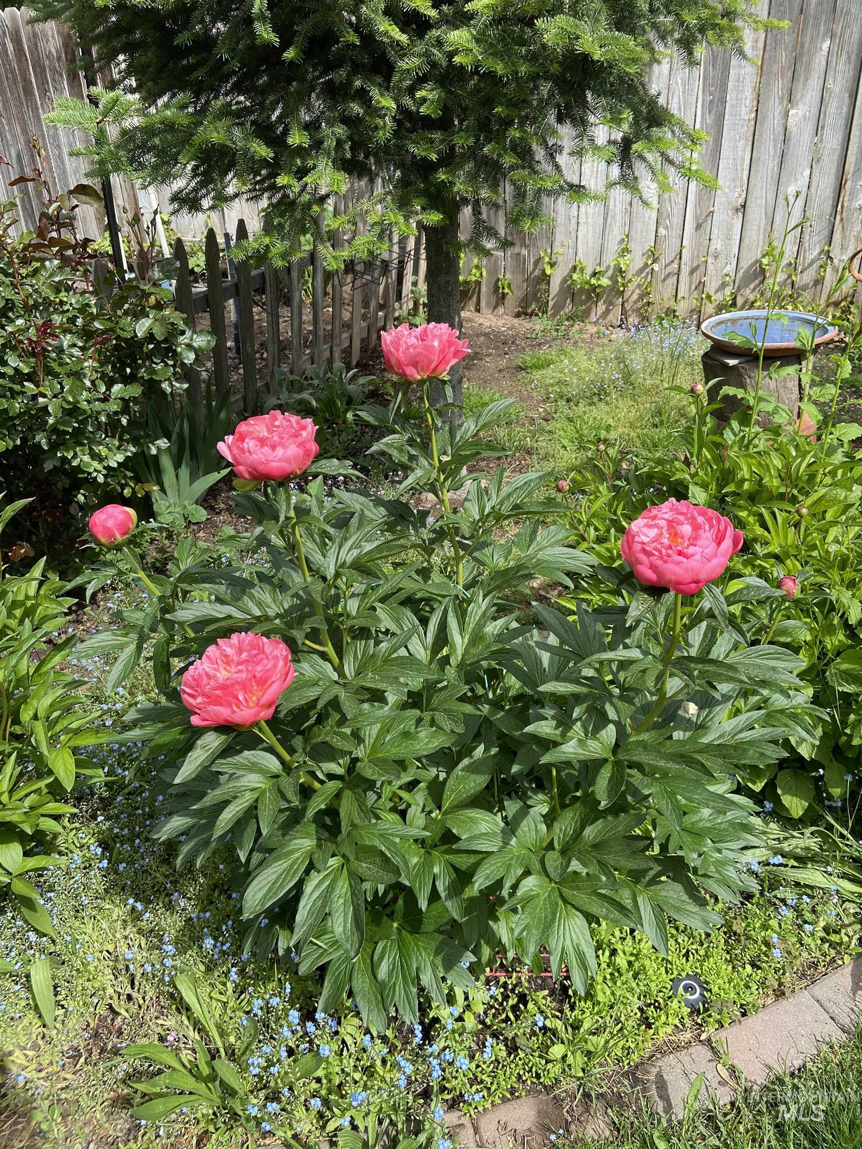 8510 W Crestwood Dr, Boise, Idaho 83704-3033, 3 Bedrooms, 2 Bathrooms, Residential For Sale, Price $488,000,MLS 98973163