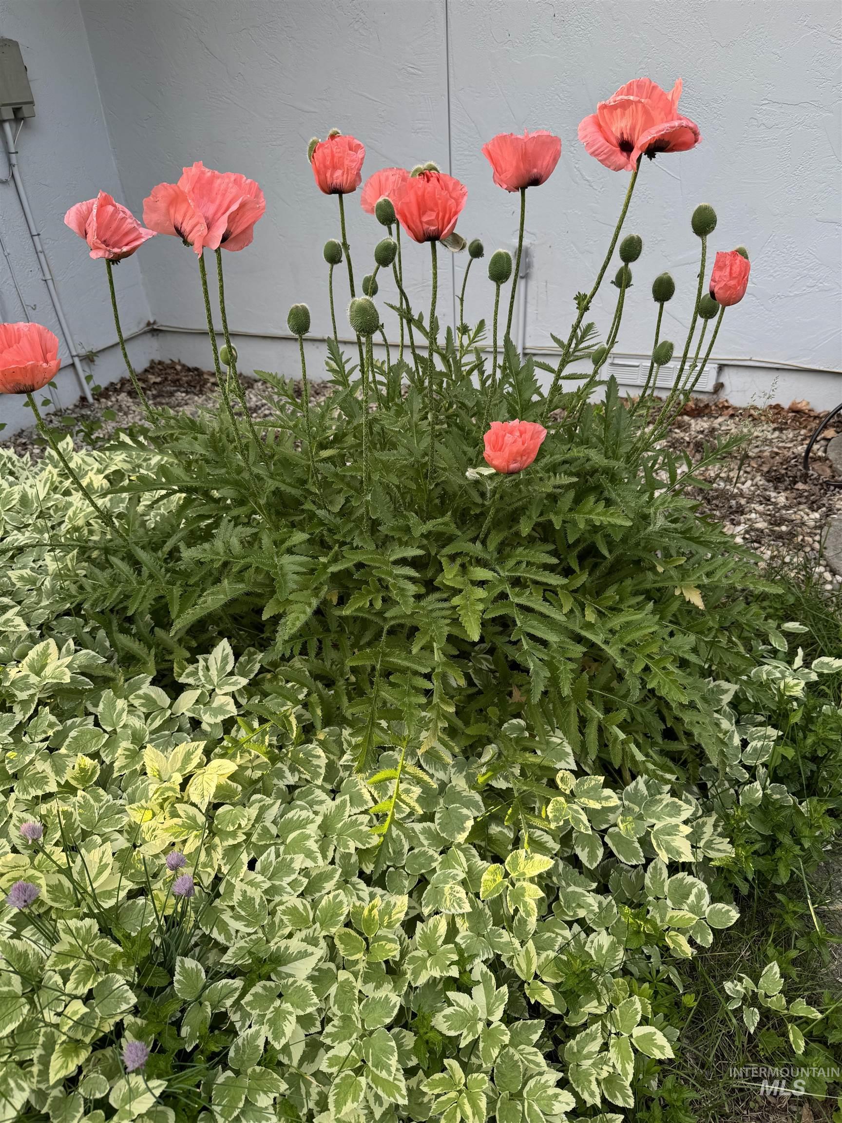 8510 W Crestwood Dr, Boise, Idaho 83704-3033, 3 Bedrooms, 2 Bathrooms, Residential For Sale, Price $488,000,MLS 98973163