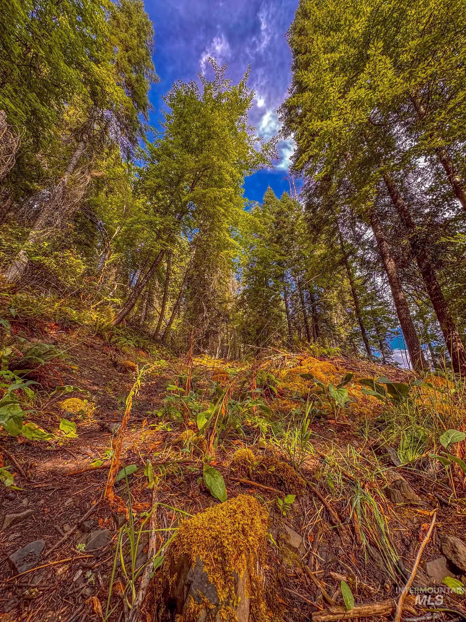 404 Harmony Heights Loop, Orofino, Idaho 83544, 3 Bedrooms, 2.5 Bathrooms, Residential For Sale, Price $329,900,MLS 98973167