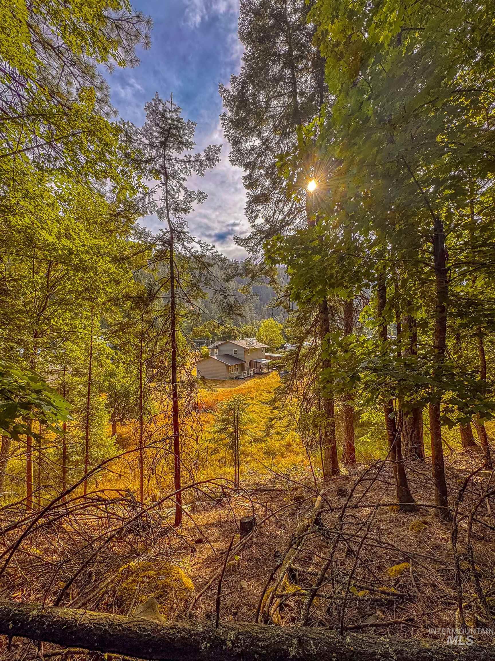 404 Harmony Heights Loop, Orofino, Idaho 83544, 3 Bedrooms, 2.5 Bathrooms, Residential For Sale, Price $329,900,MLS 98973167