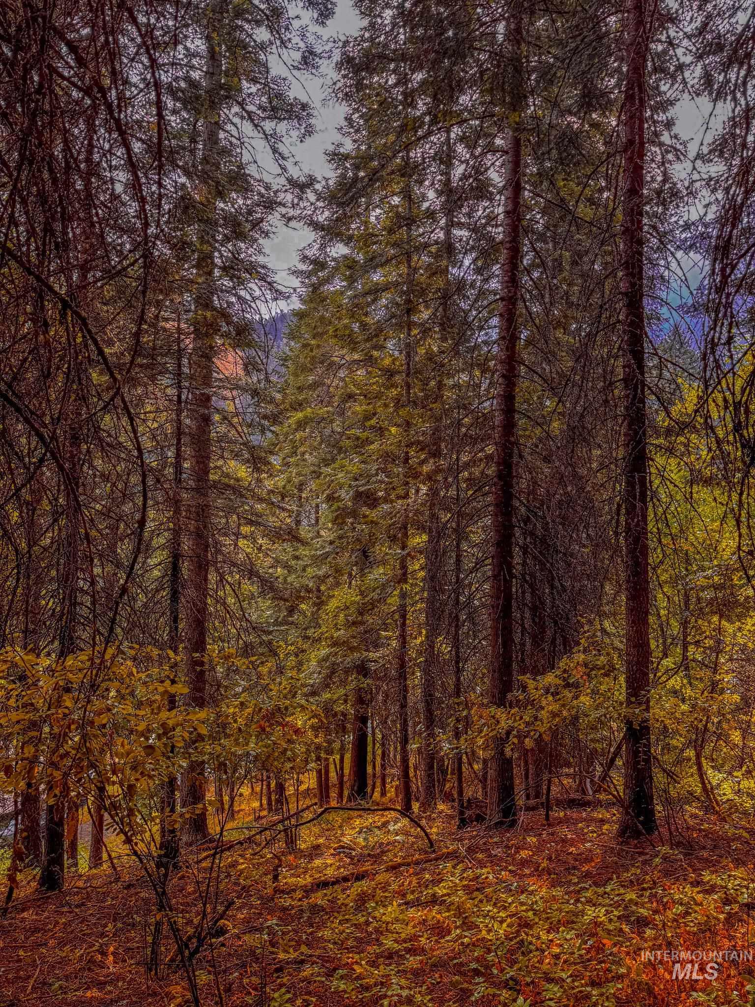 404 Harmony Heights Loop, Orofino, Idaho 83544, 3 Bedrooms, 2.5 Bathrooms, Residential For Sale, Price $329,900,MLS 98973167