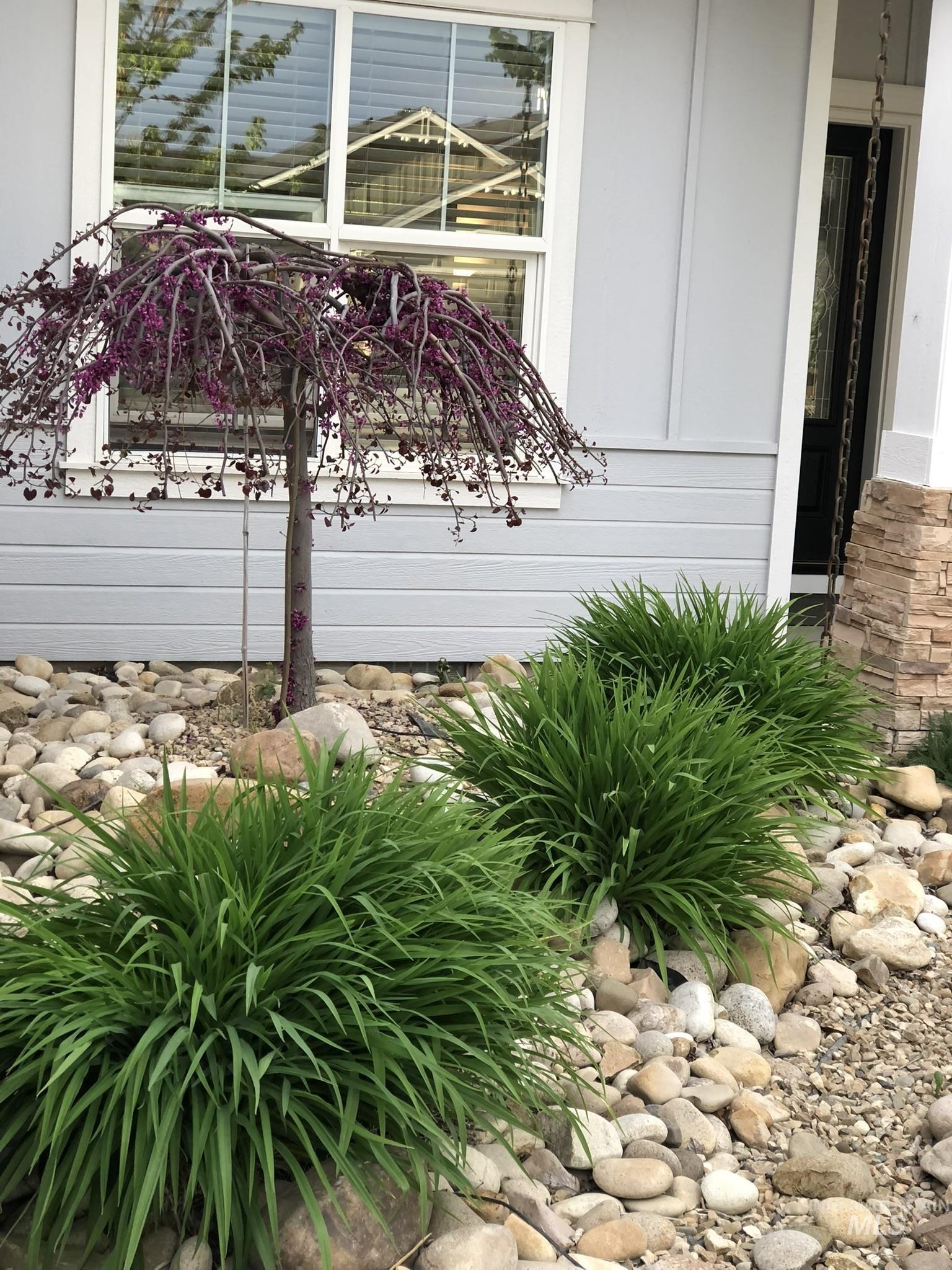 2605 Springcrest Street, Caldwell, Idaho 83607, 4 Bedrooms, 3 Bathrooms, Residential For Sale, Price $484,900,MLS 98973174