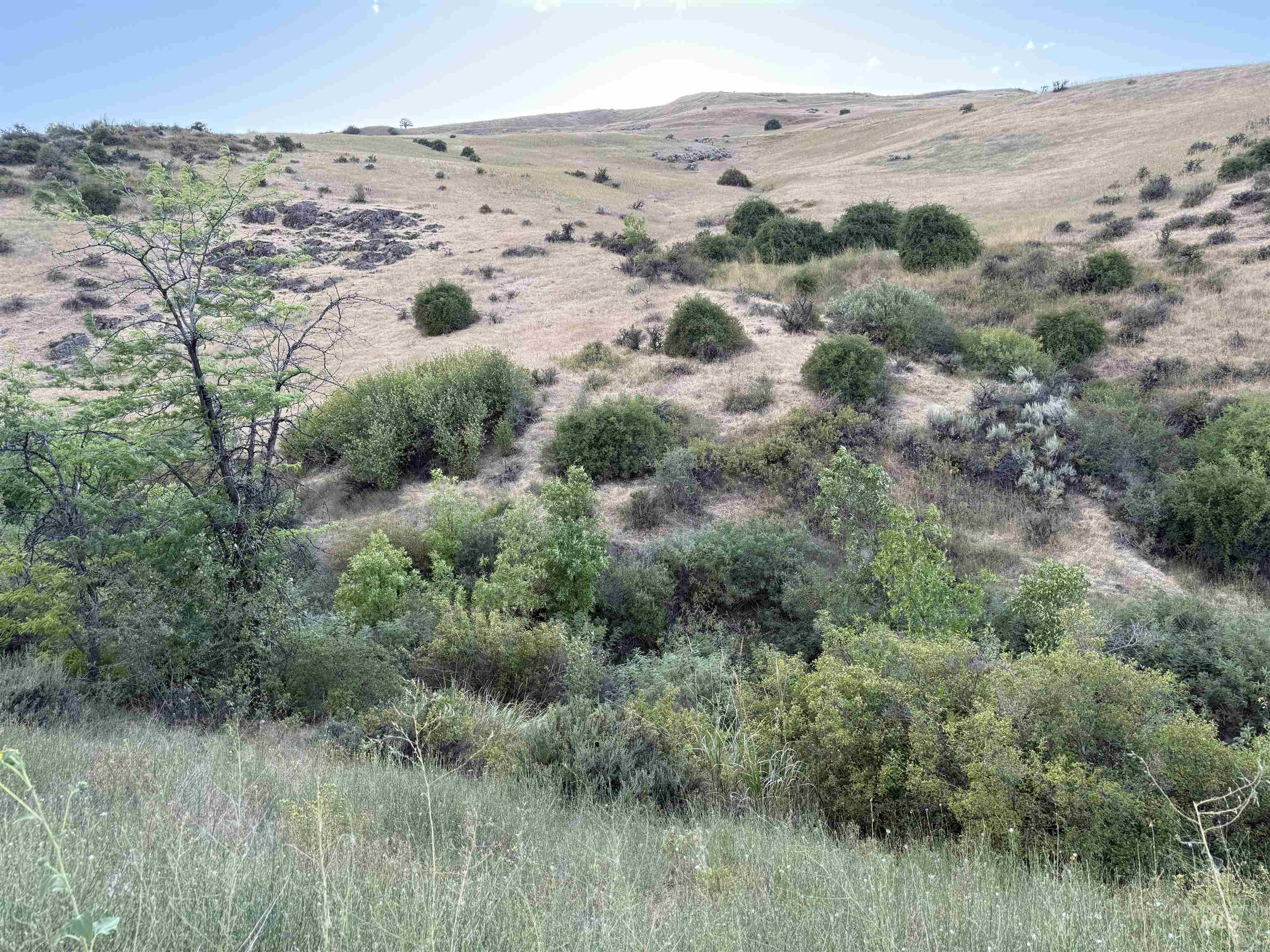 TBD Breadloaf, Horseshoe Bend, Idaho 83629, Land For Sale, Price $325,000, 98973202