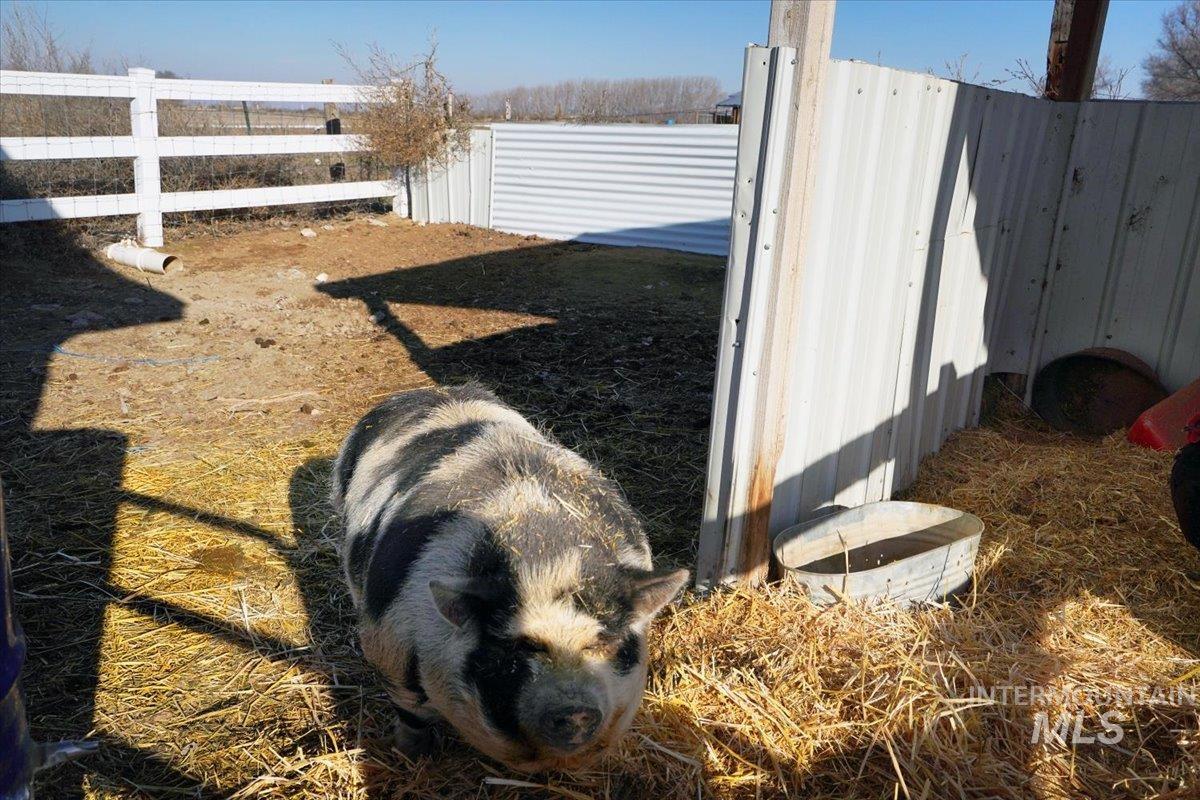 2462 Succor Creek Rd, Homedale, Idaho 83628, 4 Bedrooms, 3 Bathrooms, Residential For Sale, Price $1,050,900,MLS 98973206