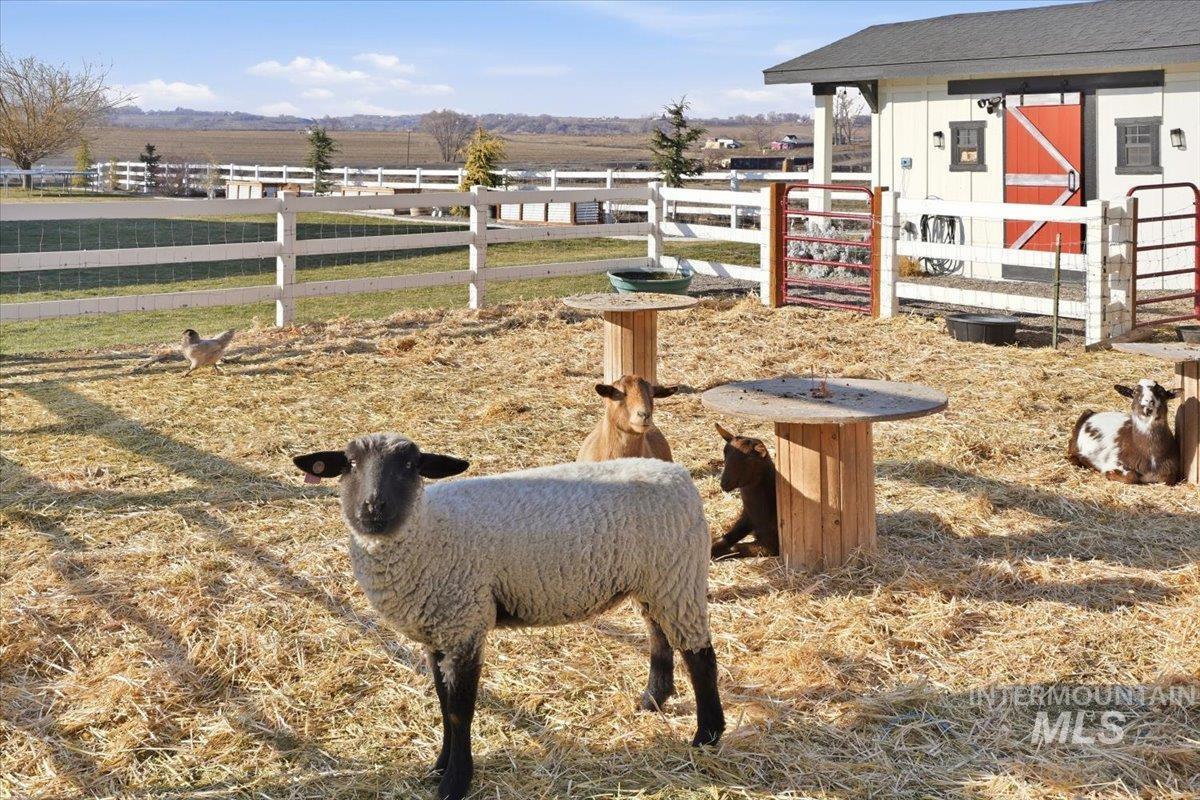 2462 Succor Creek Rd, Homedale, Idaho 83628, 4 Bedrooms, 3 Bathrooms, Residential For Sale, Price $1,050,900,MLS 98973206