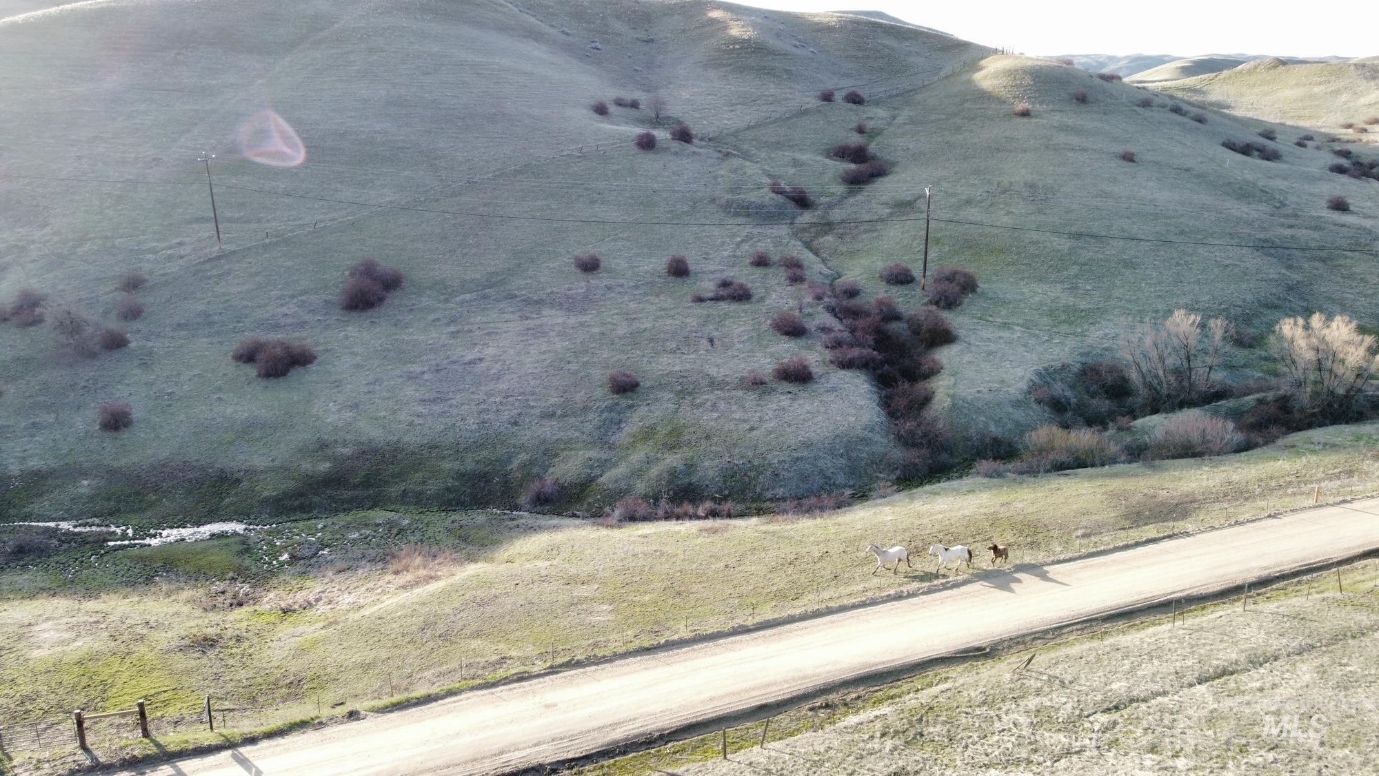 Parcel D Pioneer Rd, Horseshoe Bend, Idaho 83629, Land For Sale, Price $215,000,MLS 98973212