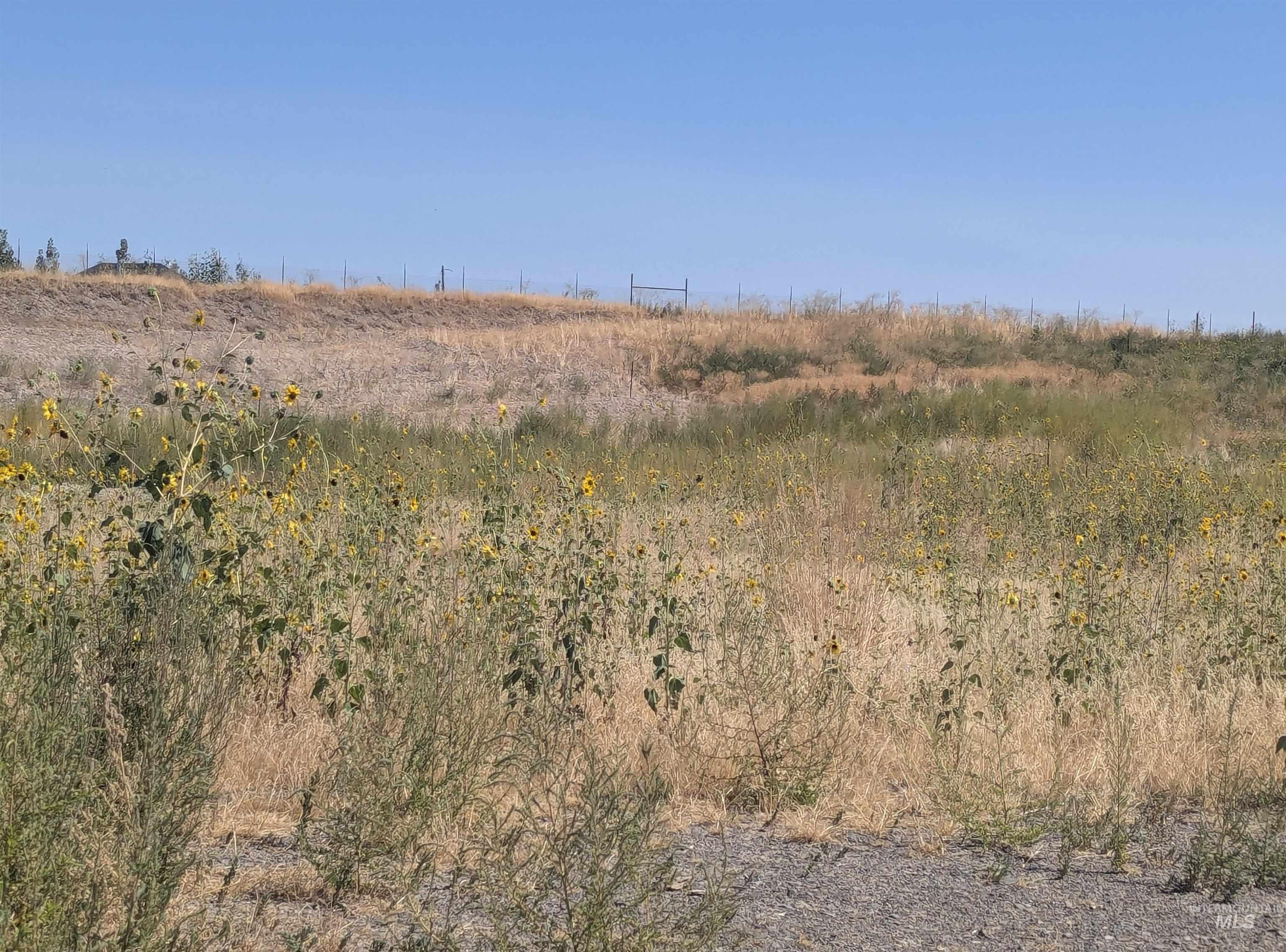 TBD Indian Hot Springs, Weiser, Idaho 83672, Land For Sale, Price $295,000,MLS 98973232