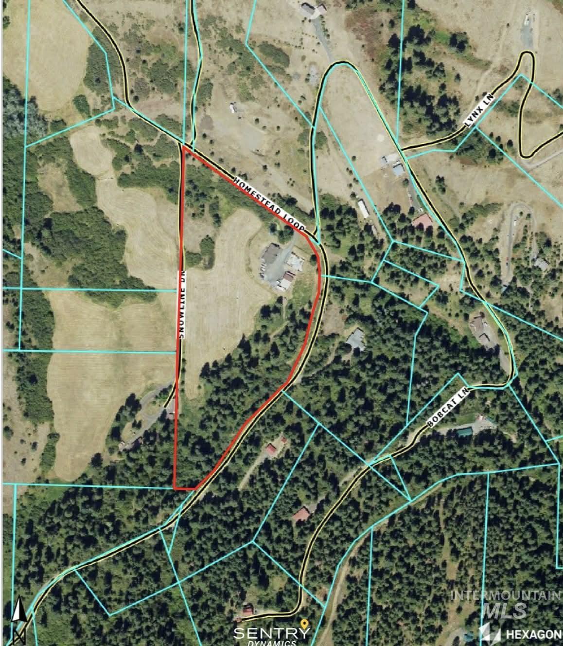 19378 Homestead Loop, Lewiston, Idaho 83501, 3 Bedrooms, 2 Bathrooms, Residential For Sale, Price $785,000,MLS 98973247