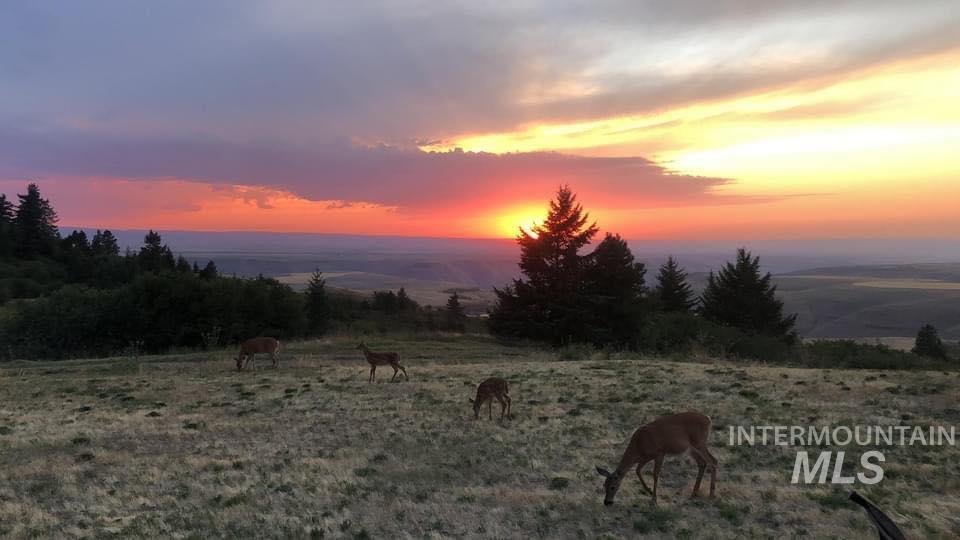 19378 Homestead Loop, Lewiston, Idaho 83501, 3 Bedrooms, 2 Bathrooms, Residential For Sale, Price $785,000, 98973247