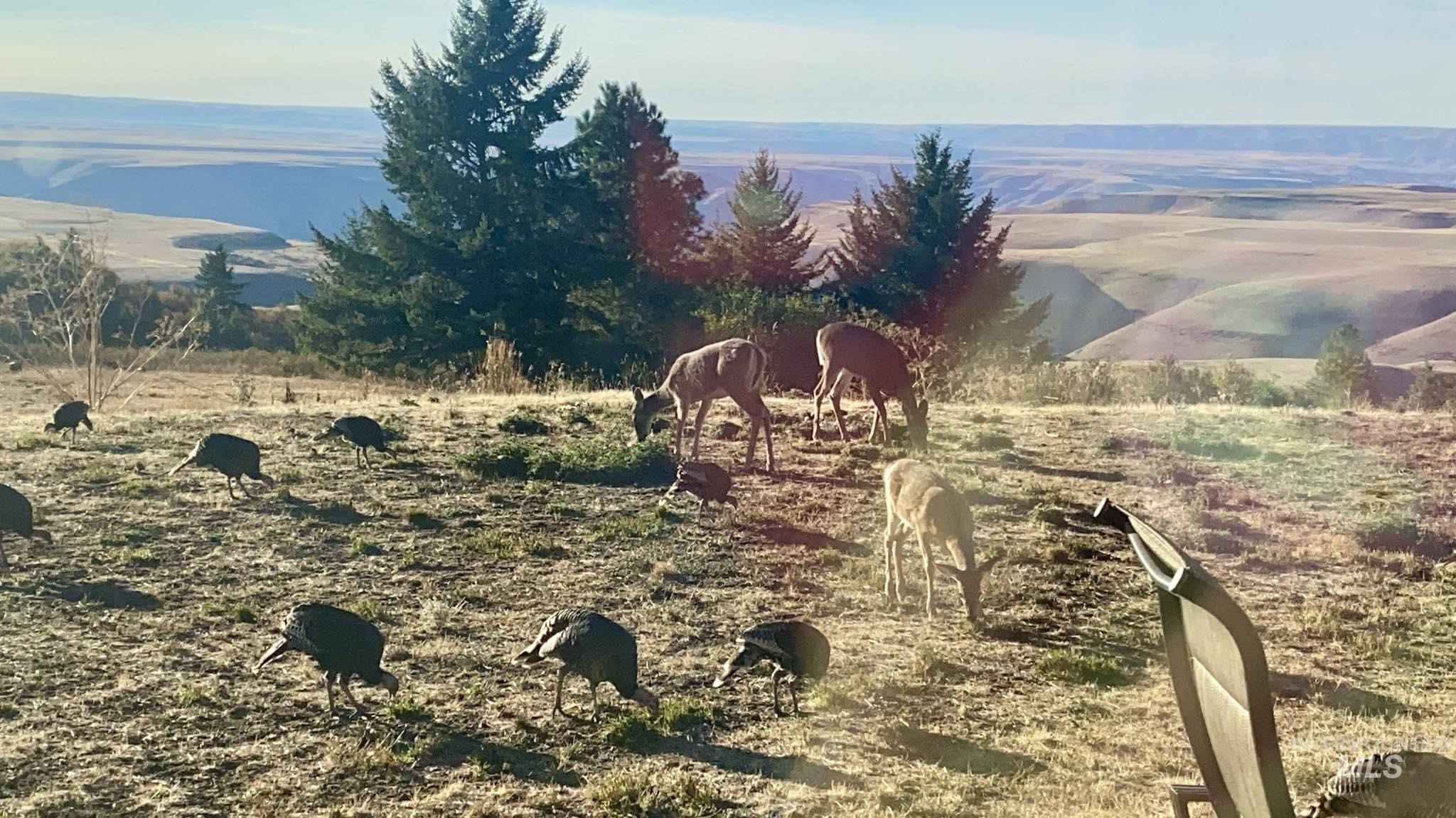 19378 Homestead Loop, Lewiston, Idaho 83501, 3 Bedrooms, 2 Bathrooms, Residential For Sale, Price $785,000, 98973247