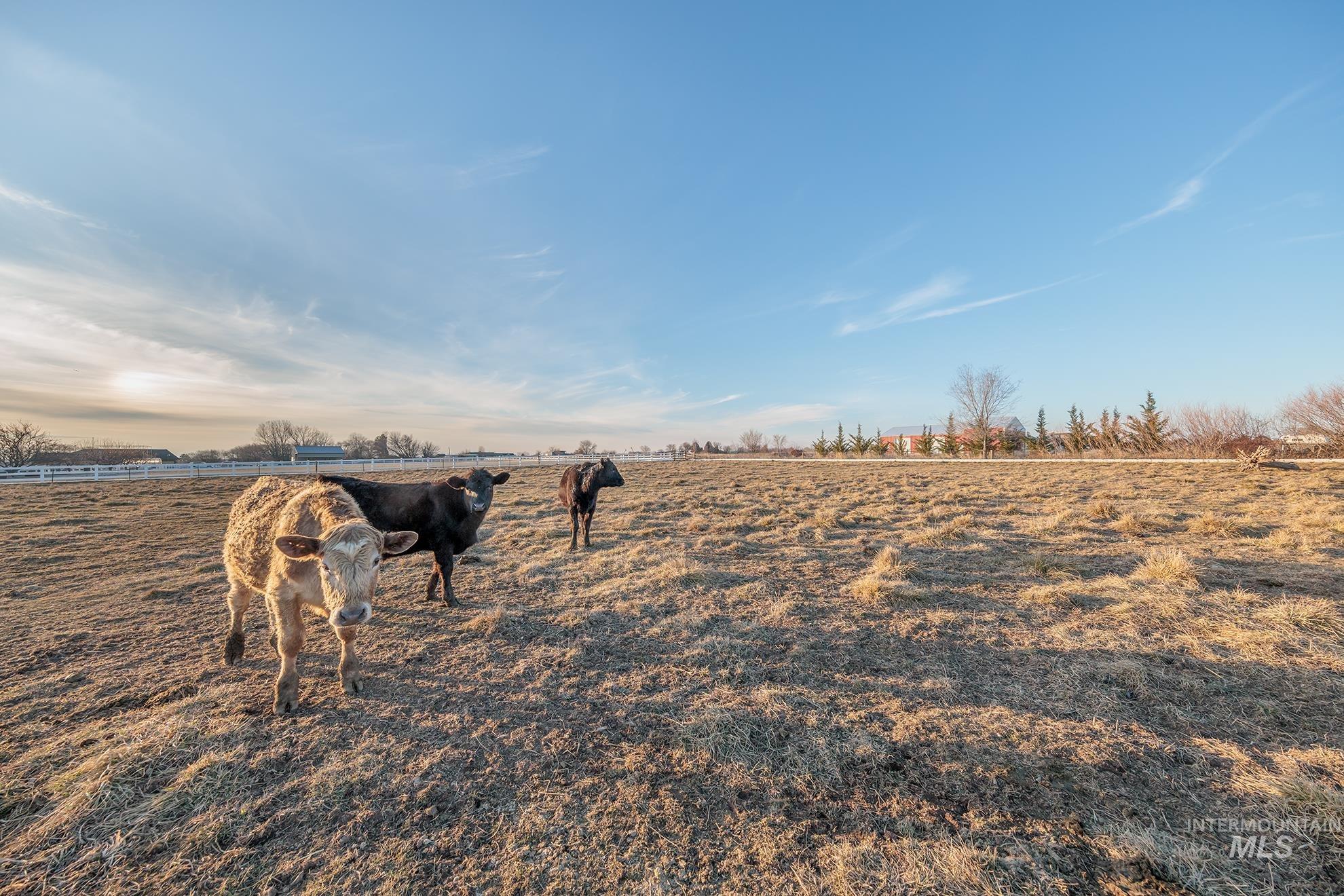 6916 E Brindle Point Dr, Nampa, Idaho 83687, 4 Bedrooms, 2.5 Bathrooms, Residential For Sale, Price $1,320,000,MLS 98973273