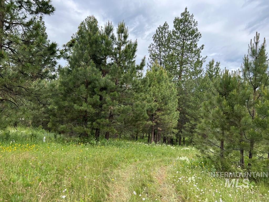 85 E Prospectors Drive, Cascade, Idaho 83611, Land For Sale, Price $263,000,MLS 98973278