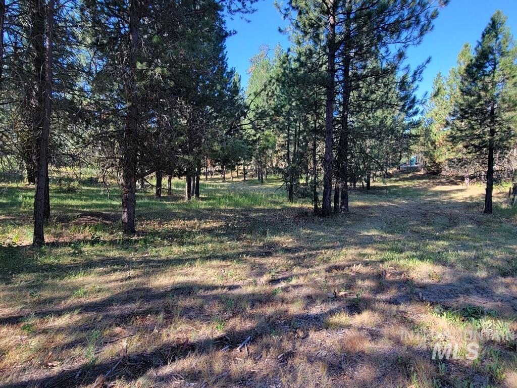 85 E Prospectors Drive, Cascade, Idaho 83611, Land For Sale, Price $263,000,MLS 98973278