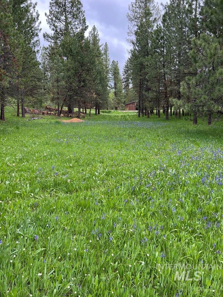 85 E Prospectors Drive, Cascade, Idaho 83611, Land For Sale, Price $263,000,MLS 98973278