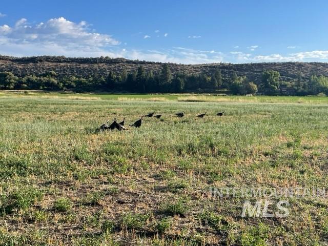 2459 Council Cuprum Rd, Council, Idaho 83612, Land For Sale, Price $995,000,MLS 98973384