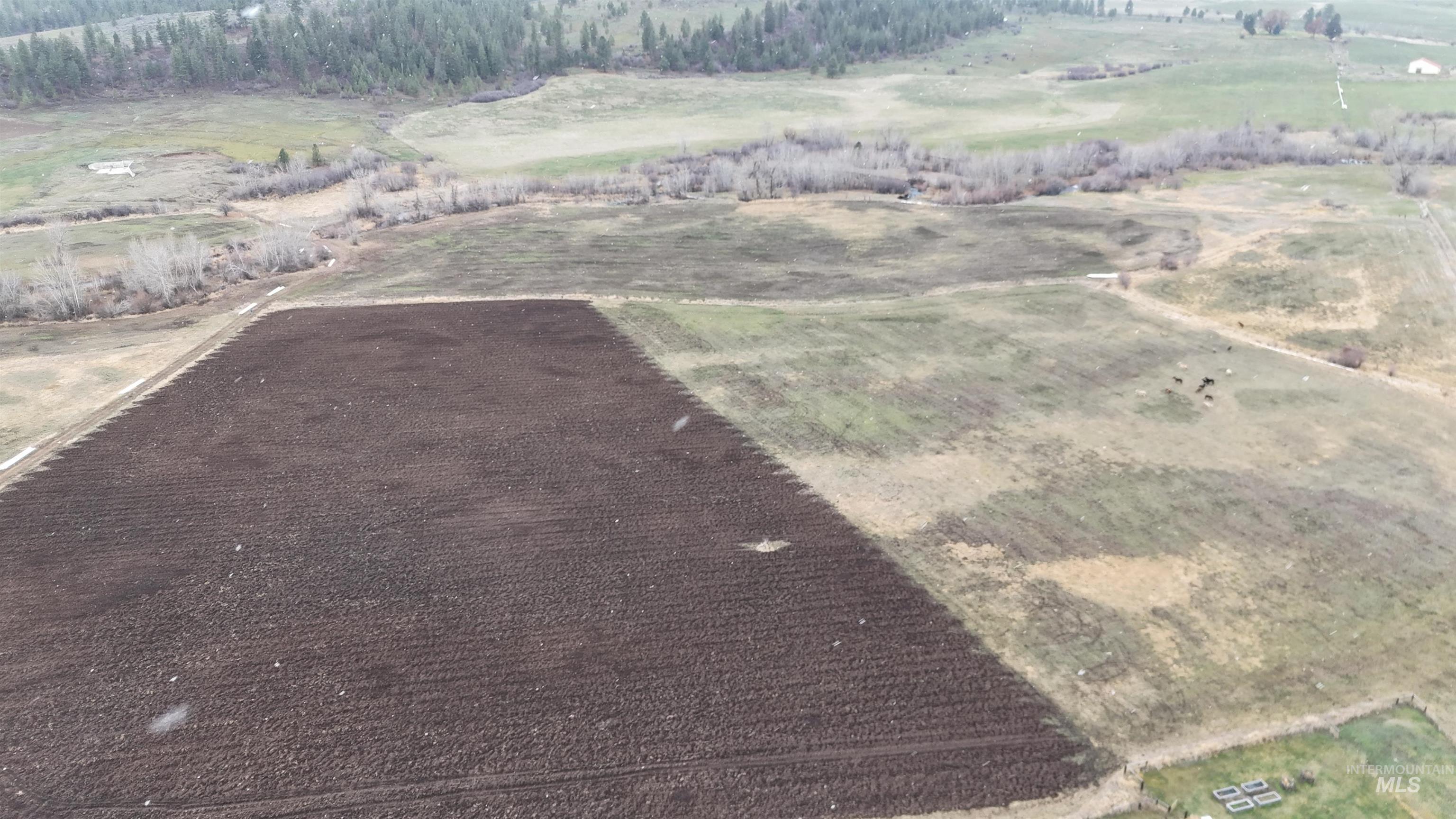 2459 Council Cuprum Rd, Council, Idaho 83612, Land For Sale, Price $995,000,MLS 98973384