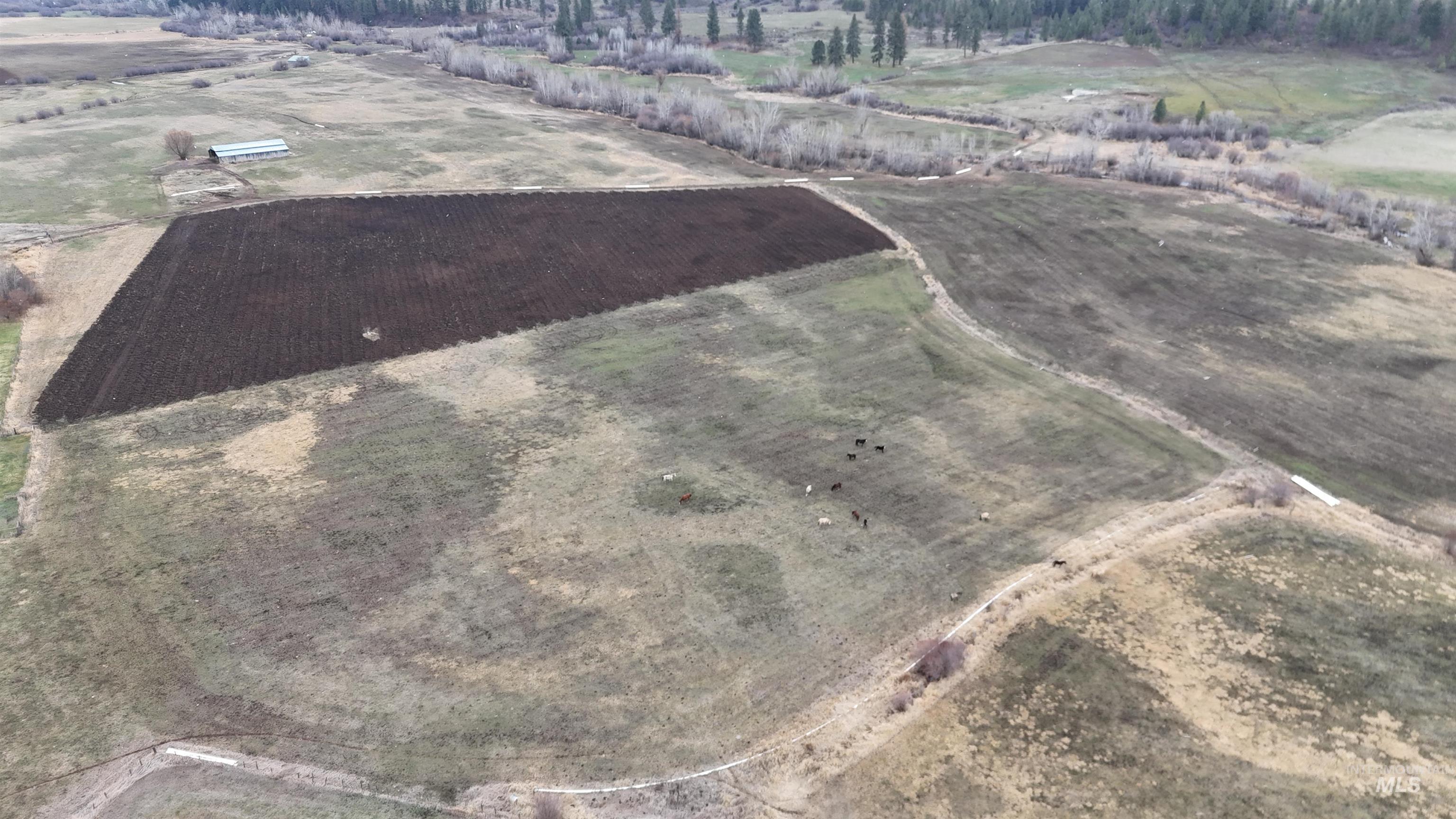 2459 Council Cuprum Rd, Council, Idaho 83612, Land For Sale, Price $995,000,MLS 98973384