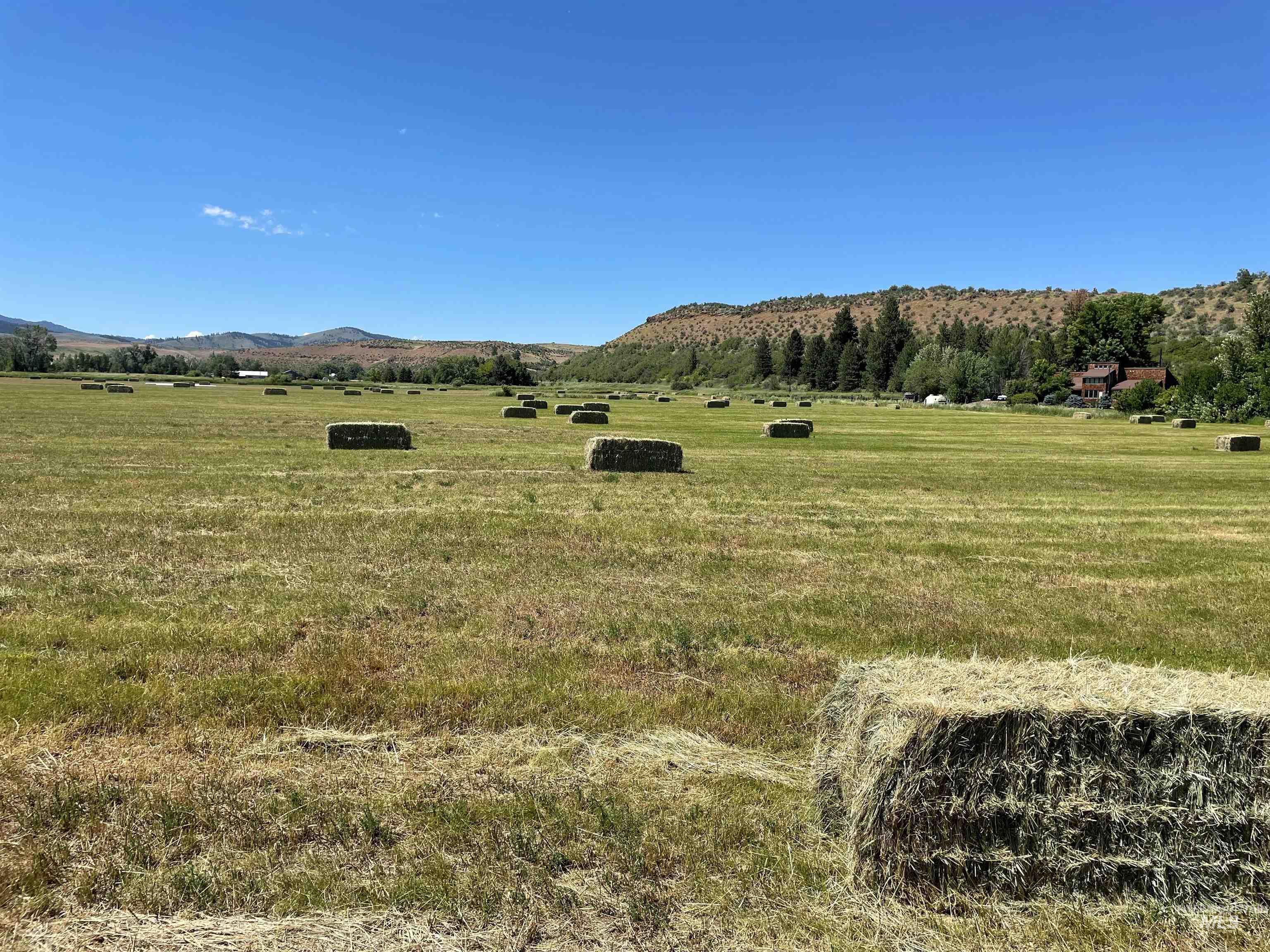 2459 Council Cuprum Rd, Council, Idaho 83612, Land For Sale, Price $995,000,MLS 98973384