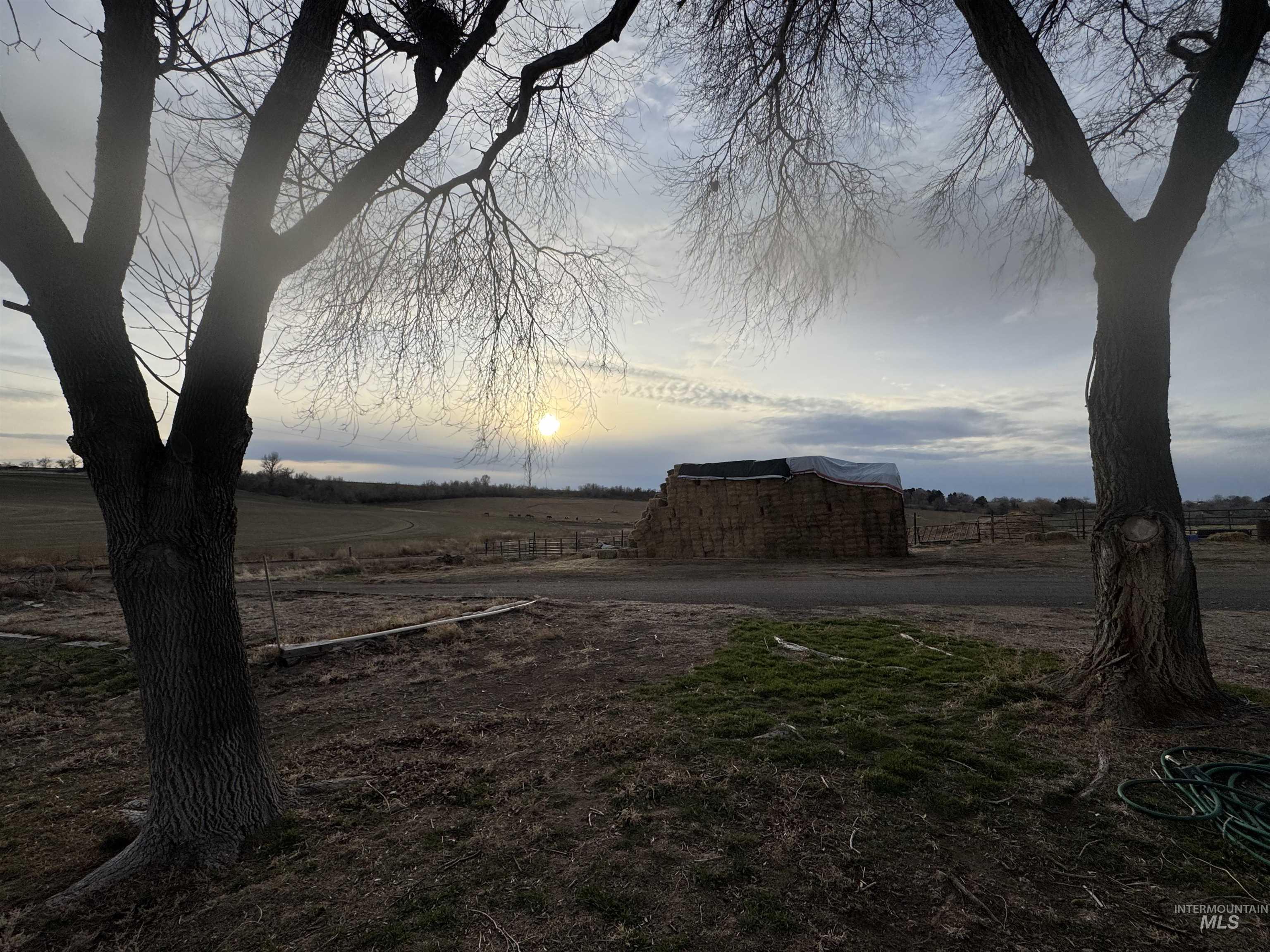 1164 E 4150 N, Buhl, Idaho 83316, 5 Bedrooms, 2 Bathrooms, Residential For Sale, Price $999,000,MLS 98973386