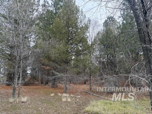 2934 E Little Basin Rd, King Hill, Idaho 83633, 3 Bedrooms, 2 Bathrooms, Residential For Sale, Price $350,000,MLS 98973440