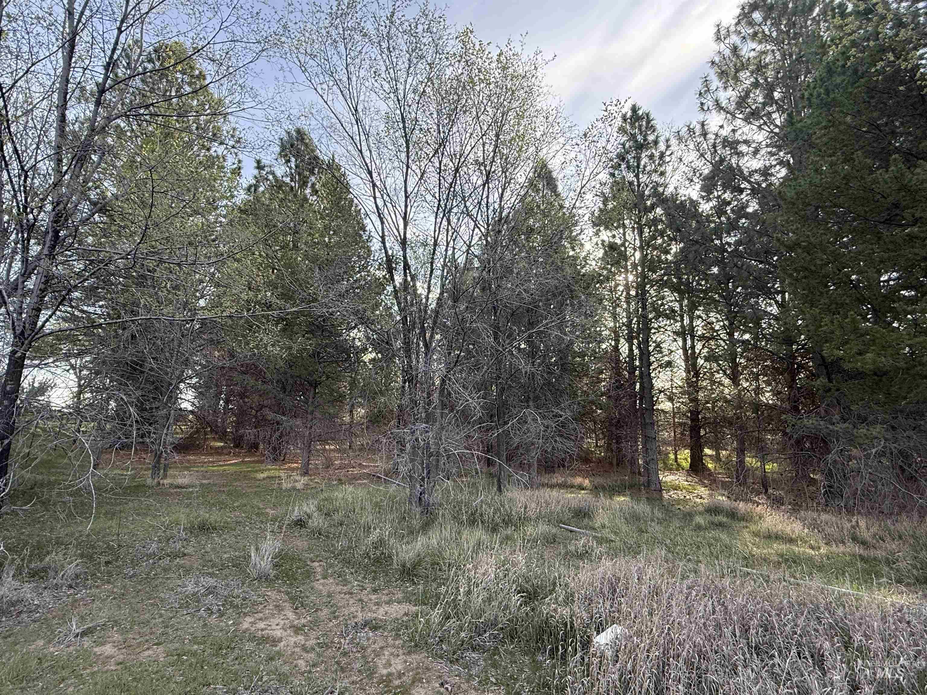 2934 E Little Basin Rd, King Hill, Idaho 83633, 3 Bedrooms, 2 Bathrooms, Residential For Sale, Price $325,000,MLS 98973440