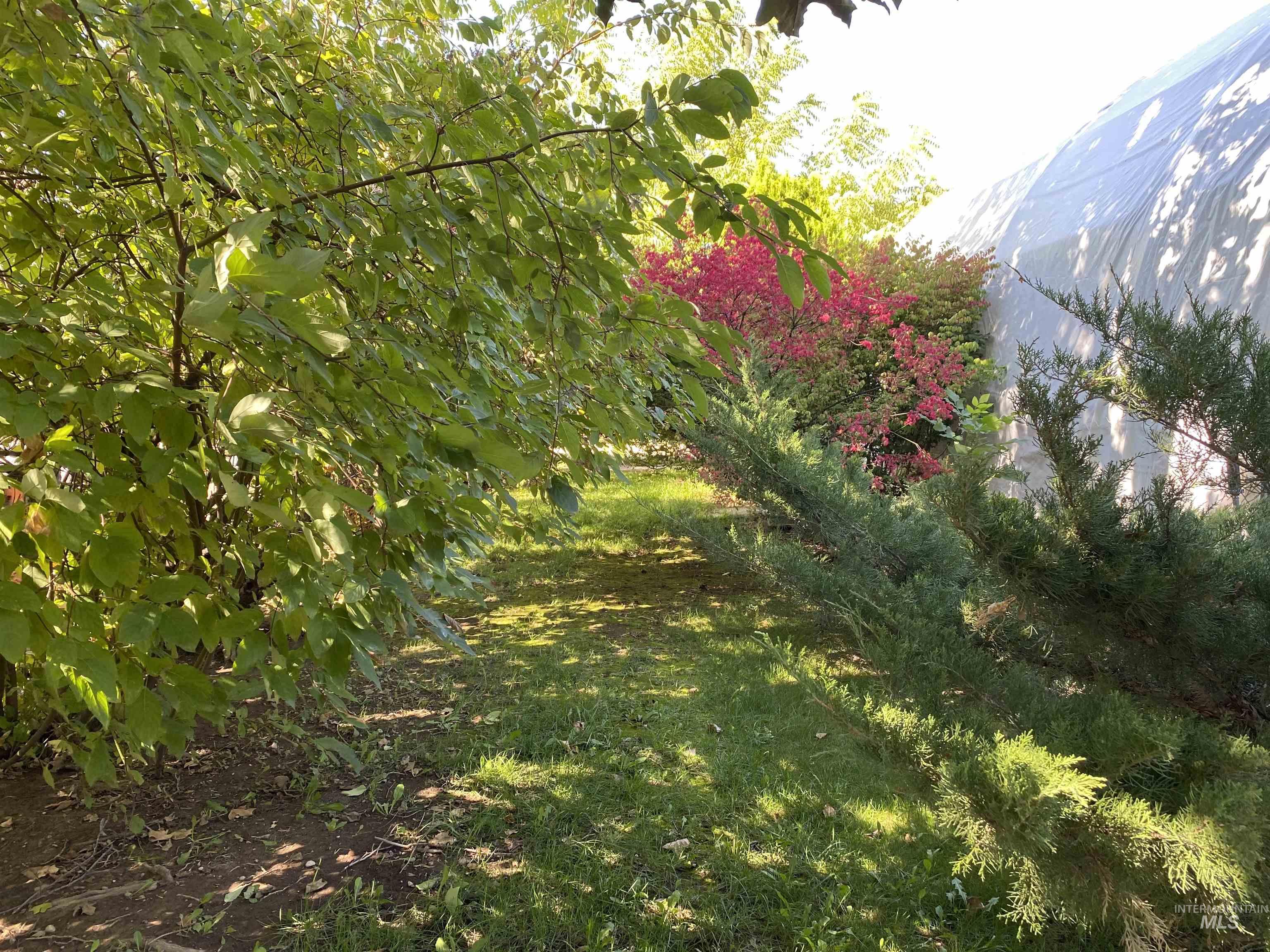 2923 N Ash Park Lane, Boise, Idaho 83704, 1 Bedroom, 1 Bathroom, Residential For Sale, Price $520,000,MLS 98973455