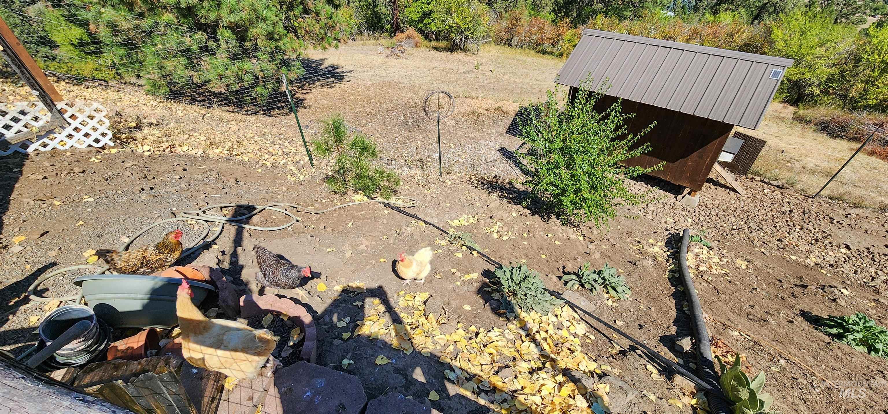 831 Crest Drive, Kamiah, Idaho 83536, 3 Bedrooms, 2 Bathrooms, Residential For Sale, Price $498,000,MLS 98973473