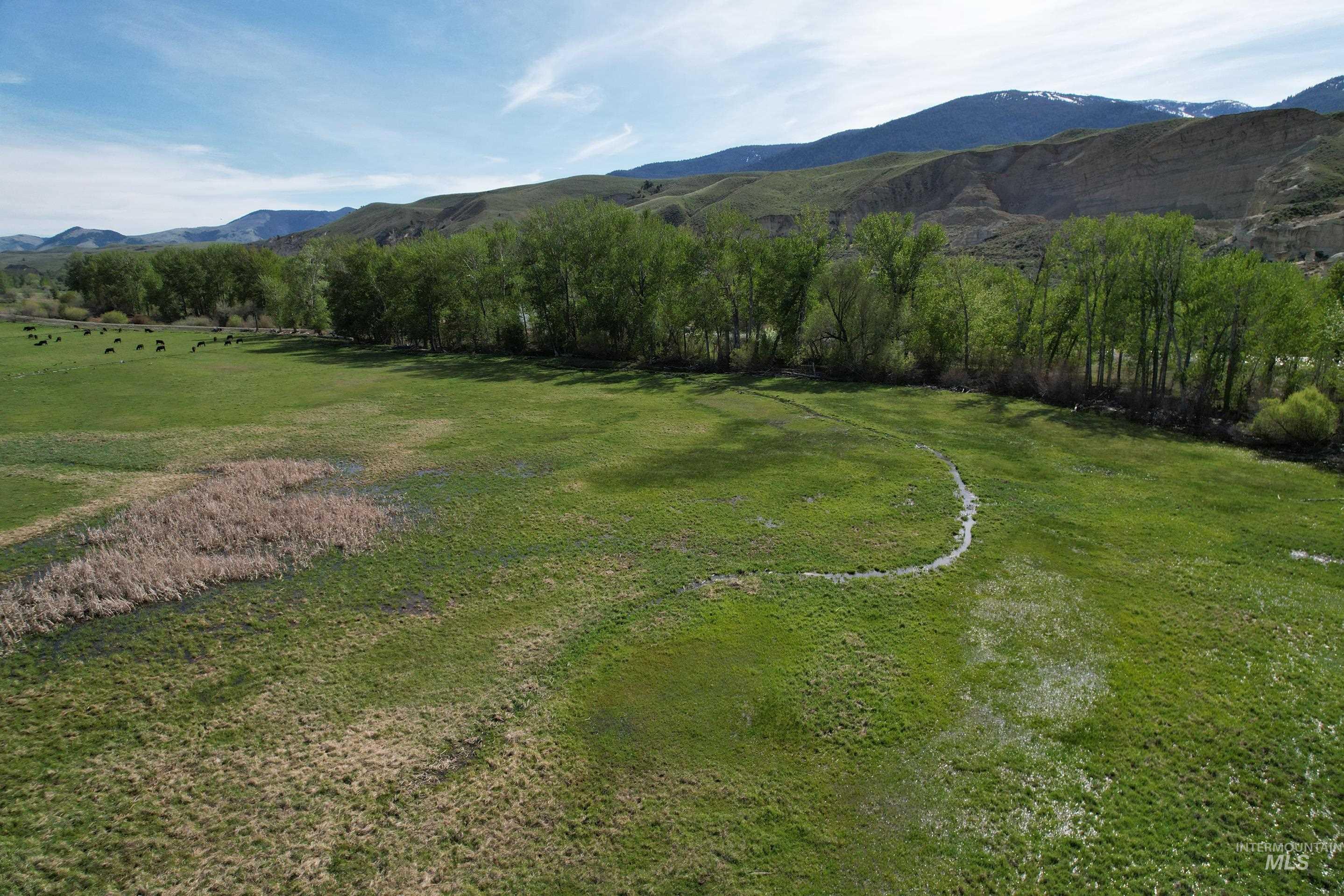 TBD St Charles Street, Salmon, Idaho 83467, Farm & Ranch For Sale, Price $1,125,000, 98973534