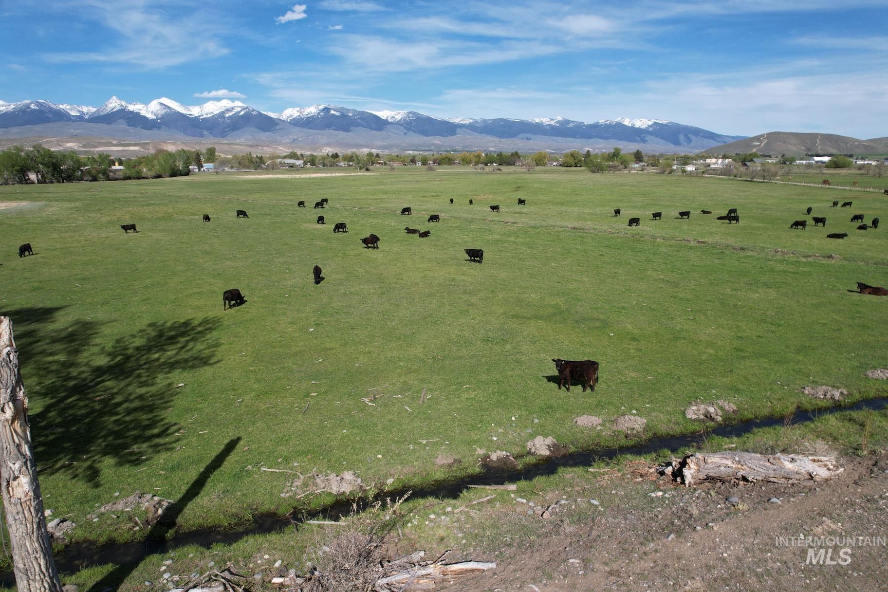 TBD St Charles Street, Salmon, Idaho 83467, Farm & Ranch For Sale, Price $1,125,000,MLS 98973534