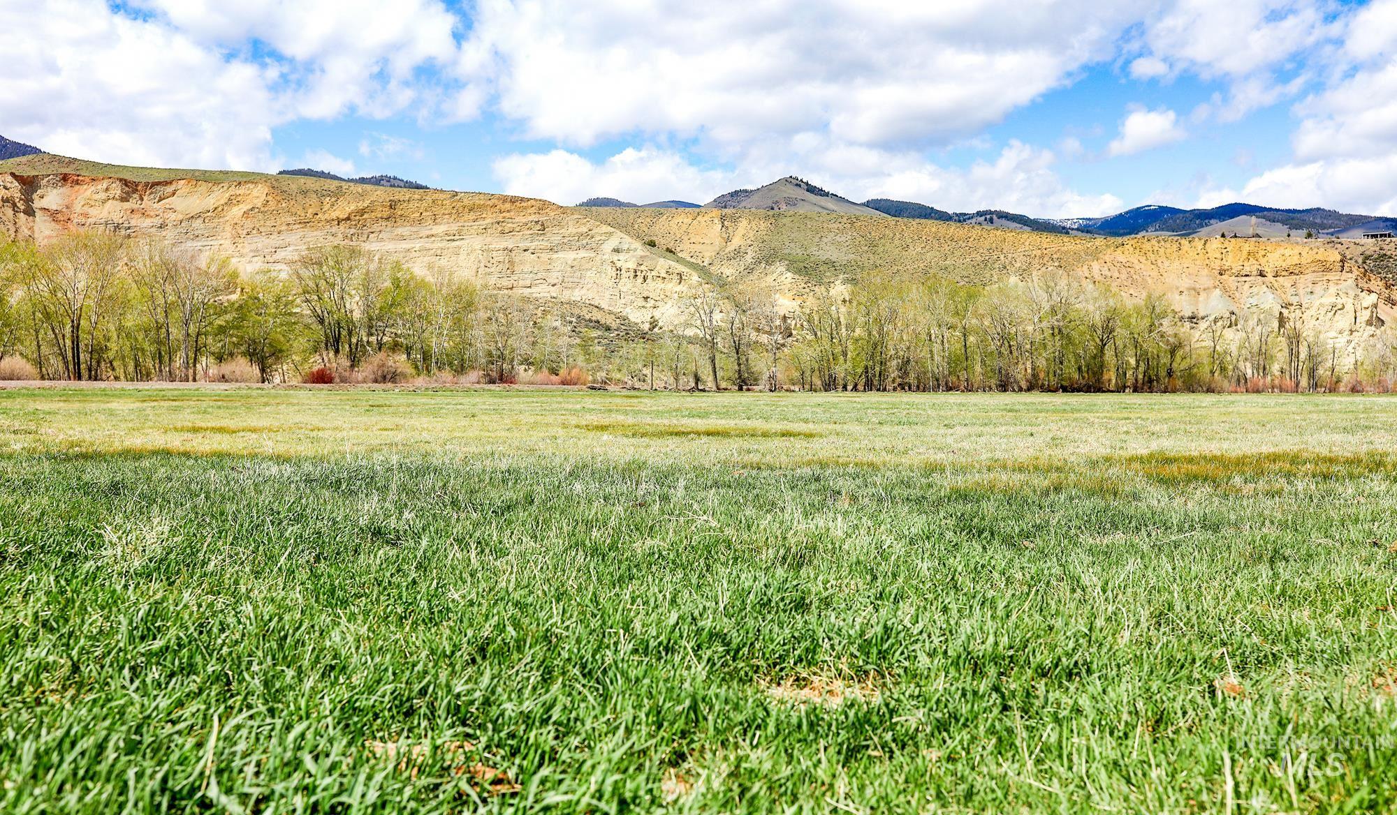 TBD St Charles Street, Salmon, Idaho 83467, Farm & Ranch For Sale, Price $1,125,000,MLS 98973534