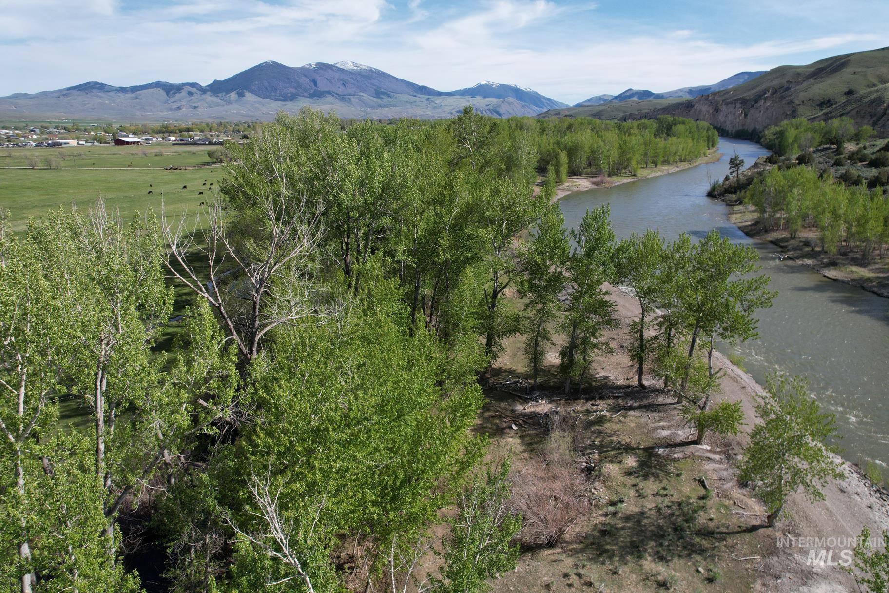 TBD St Charles Street, Salmon, Idaho 83467, Farm & Ranch For Sale, Price $1,125,000,MLS 98973534