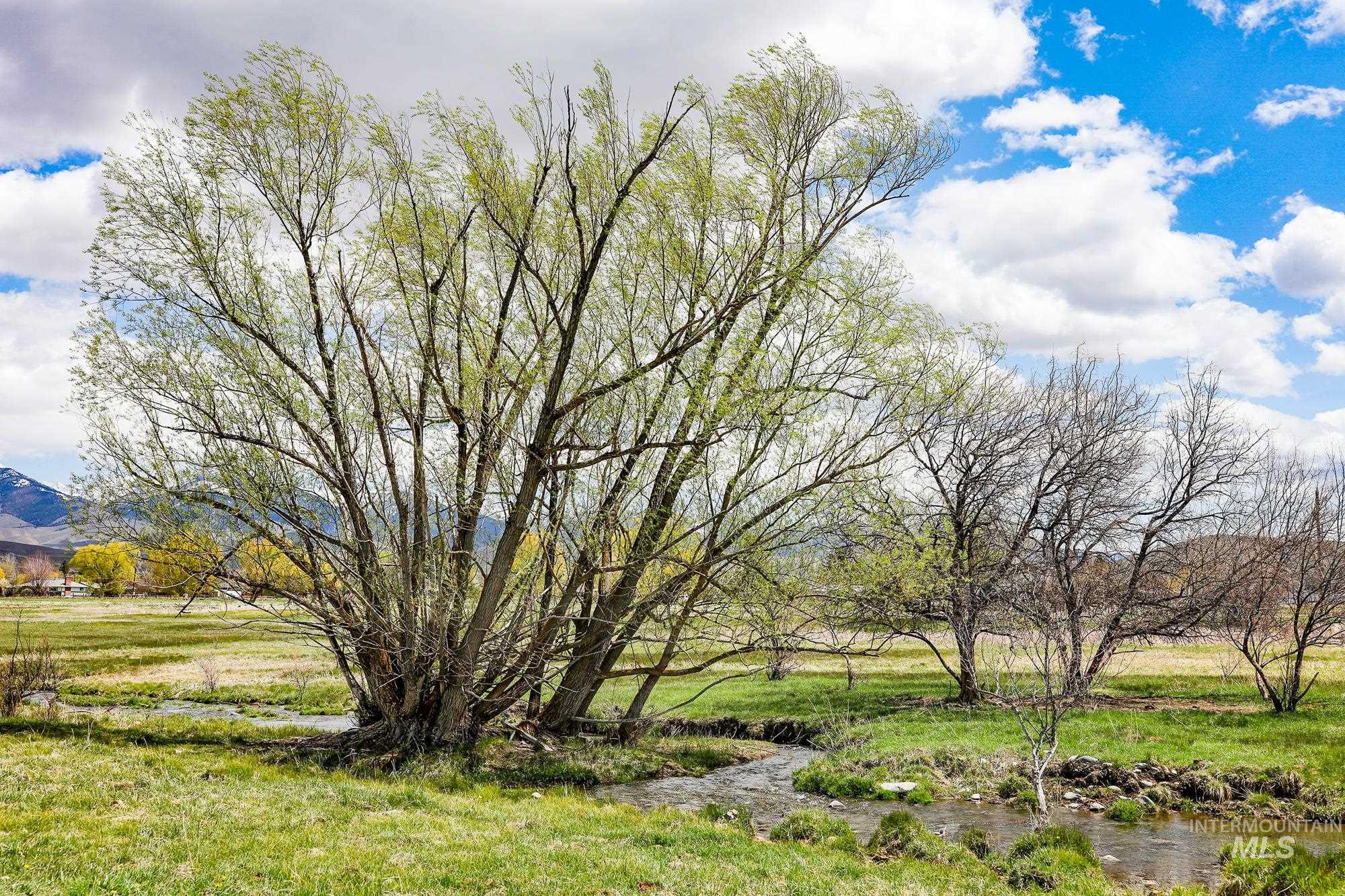 TBD St Charles Street, Salmon, Idaho 83467, Farm & Ranch For Sale, Price $1,125,000,MLS 98973534