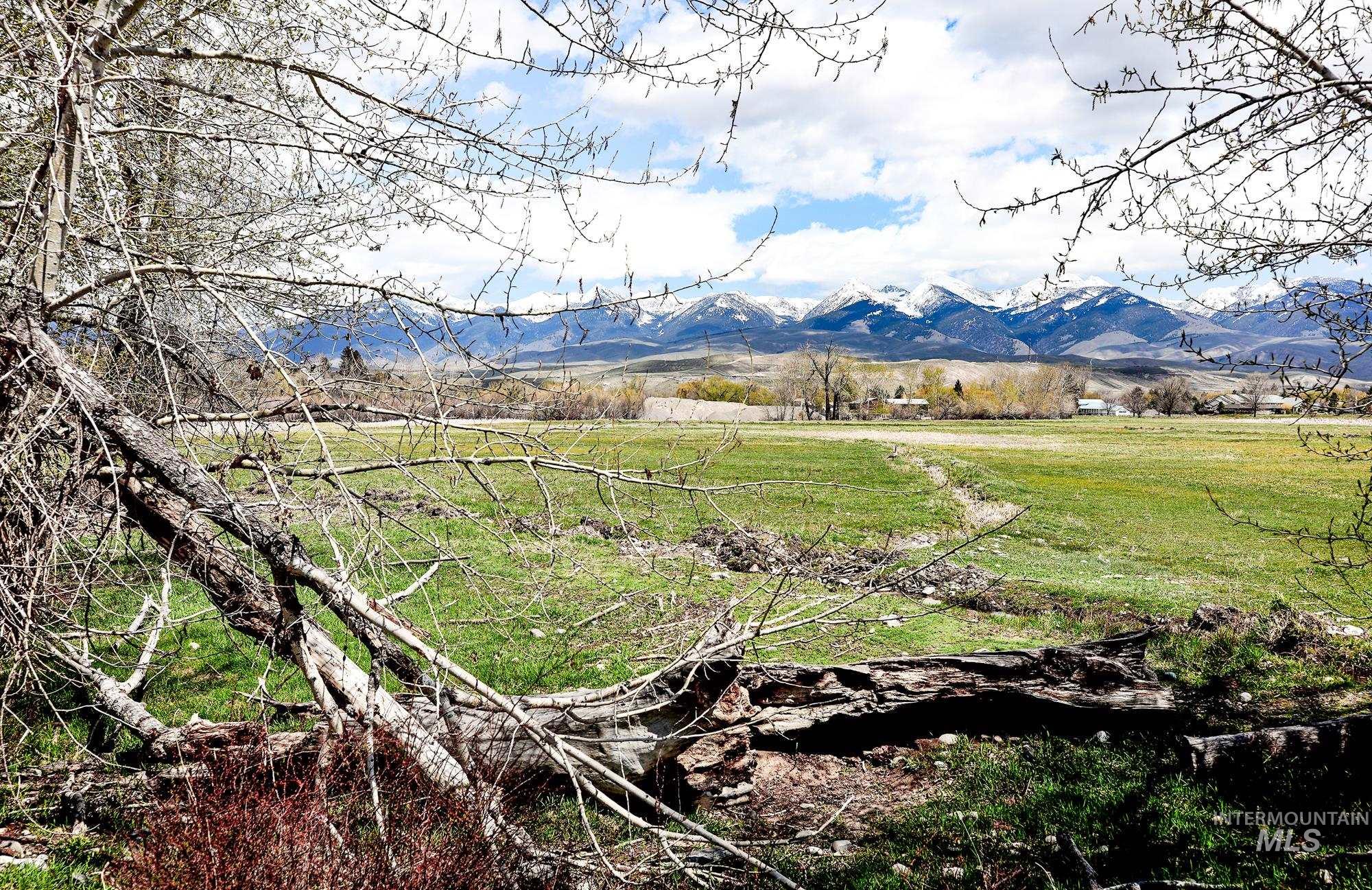 TBD St Charles Street, Salmon, Idaho 83467, Farm & Ranch For Sale, Price $1,125,000,MLS 98973534