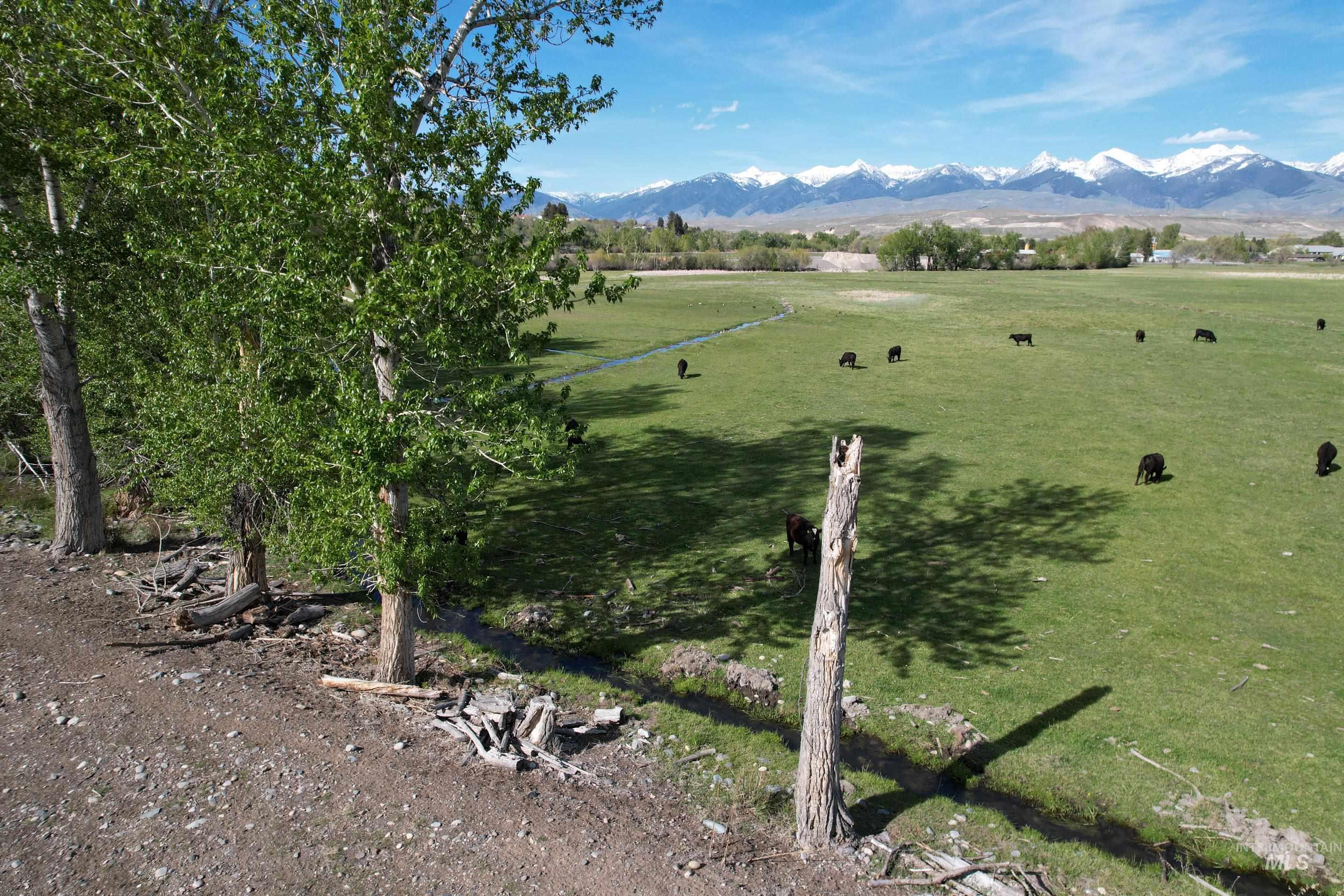 TBD St Charles Street, Salmon, Idaho 83467, Farm & Ranch For Sale, Price $1,125,000,MLS 98973534