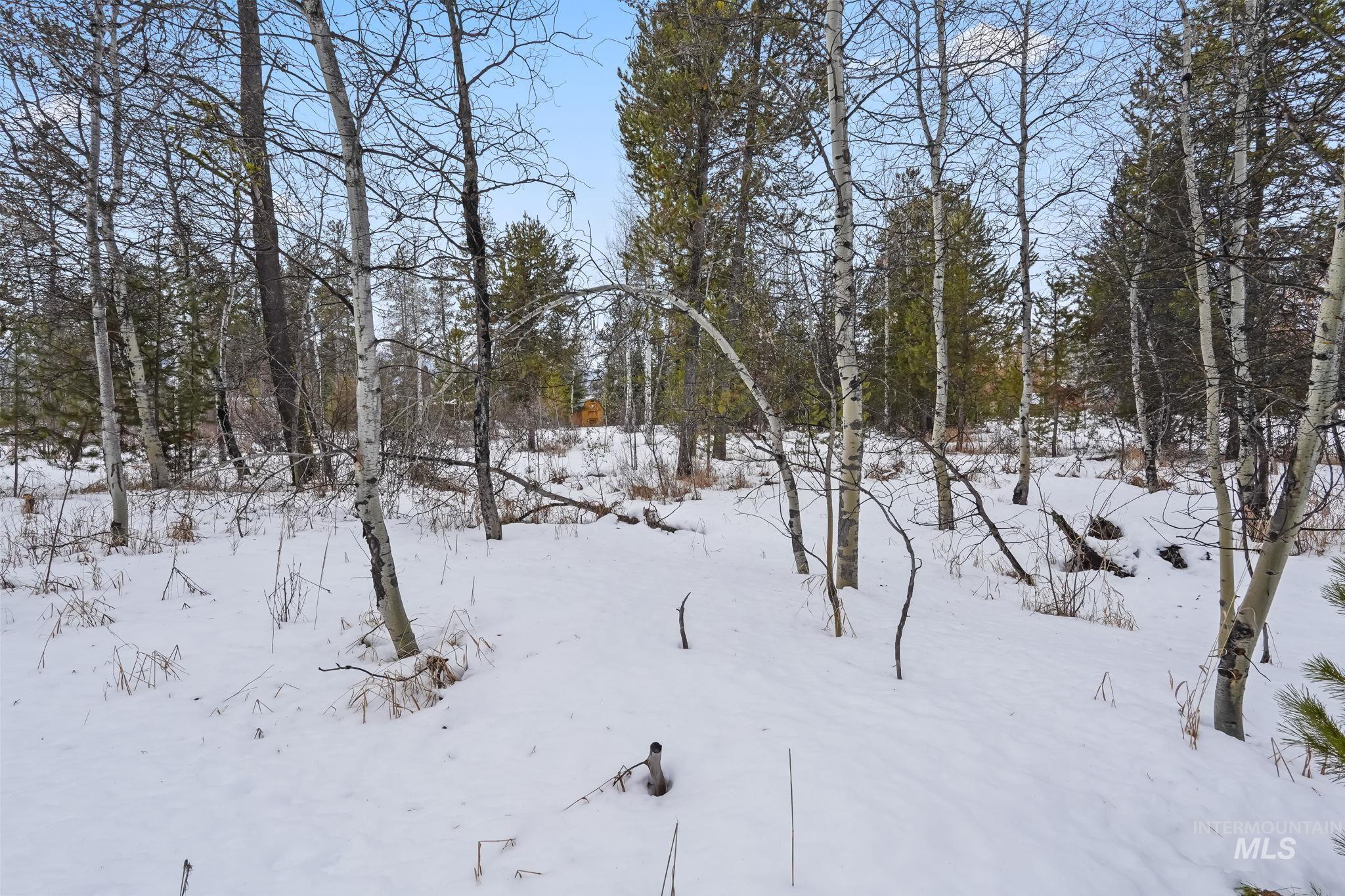 881 W Roseberry Rd., Donnelly, Idaho 83615, Land For Sale, Price $299,900,MLS 98973535