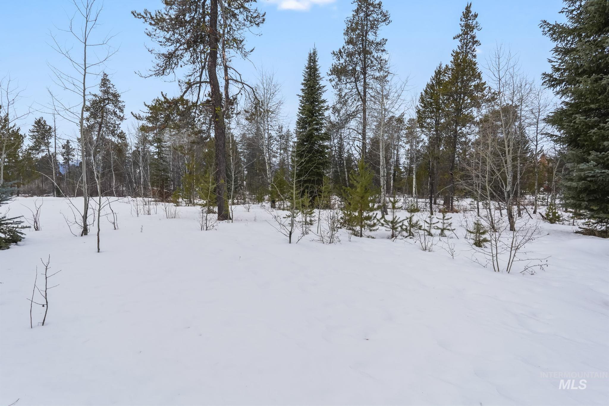 881 W Roseberry Rd., Donnelly, Idaho 83615, Land For Sale, Price $299,900,MLS 98973535