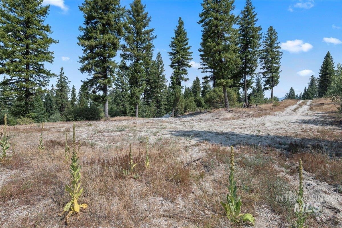 100 Coit Drive, Cascade, Idaho 83611, Land For Sale, Price $350,000,MLS 98973547