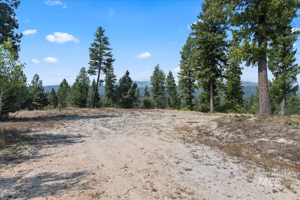 100 Coit Drive, Cascade, Idaho 83611, Land For Sale, Price $350,000,MLS 98973547