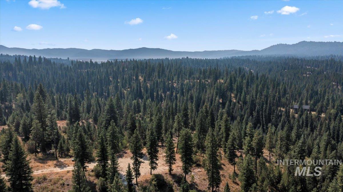 100 Coit Drive, Cascade, Idaho 83611, Land For Sale, Price $350,000,MLS 98973547