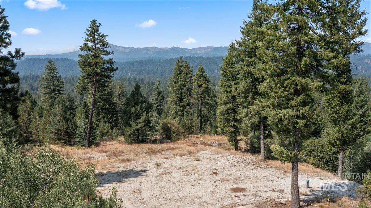 100 Coit Drive, Cascade, Idaho 83611, Land For Sale, Price $350,000,MLS 98973547
