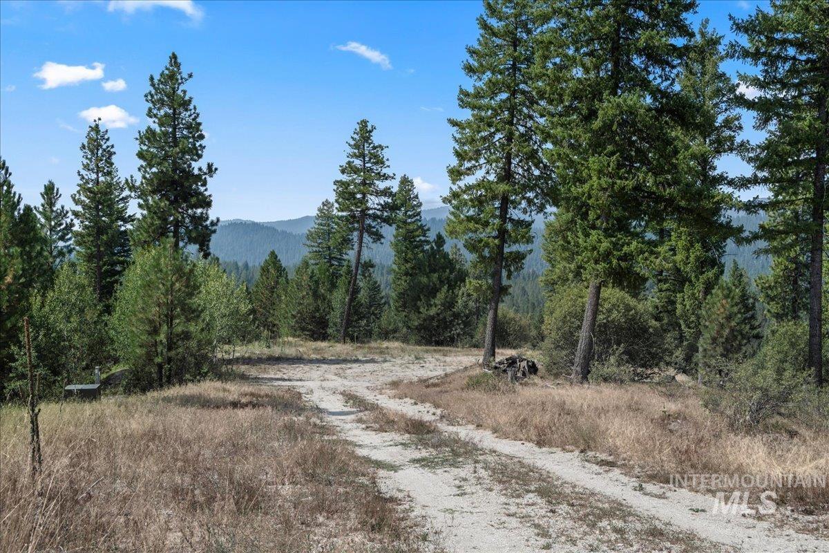 100 Coit Drive, Cascade, Idaho 83611, Land For Sale, Price $350,000,MLS 98973547