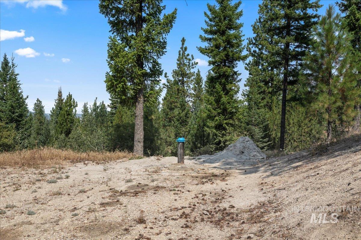 100 Coit Drive, Cascade, Idaho 83611, Land For Sale, Price $350,000,MLS 98973547