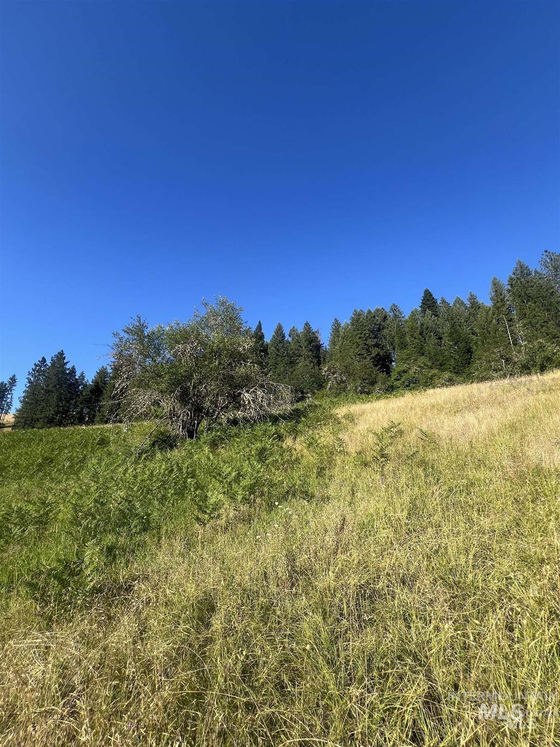 NKA Clearcreek Rd, Kooskia, Idaho 83539, Land For Sale, Price $220,000,MLS 98973570