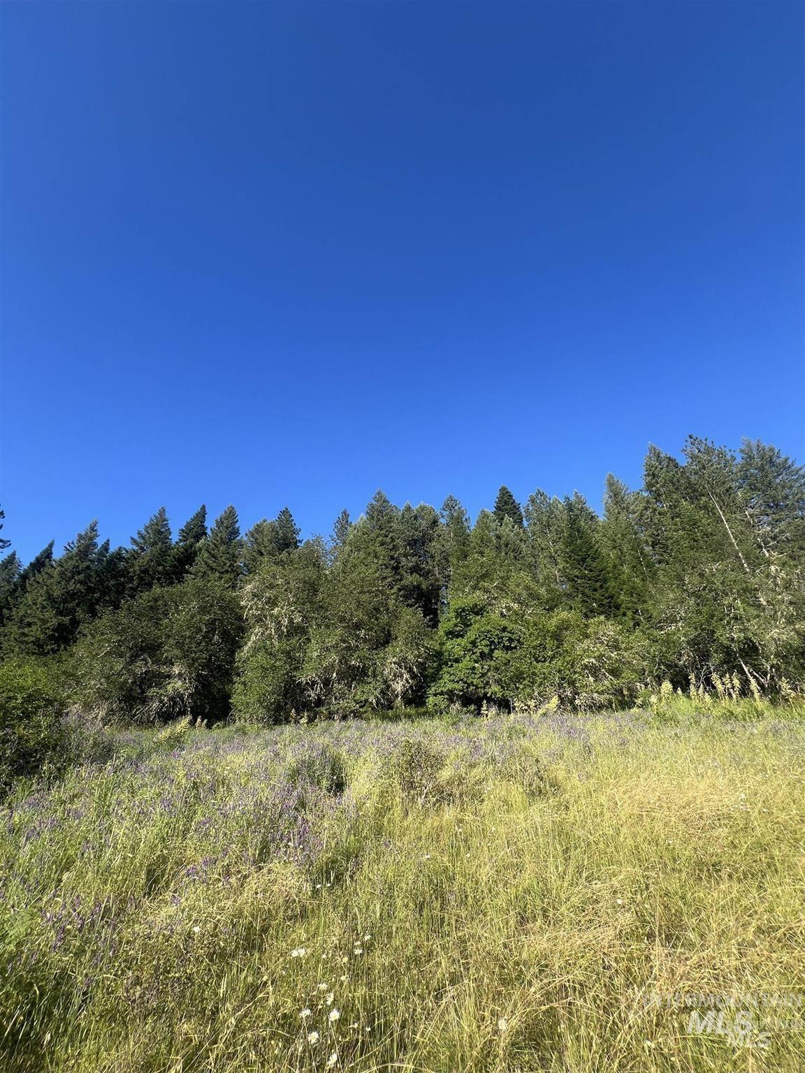 NKA Clearcreek Rd, Kooskia, Idaho 83539, Land For Sale, Price $220,000,MLS 98973570