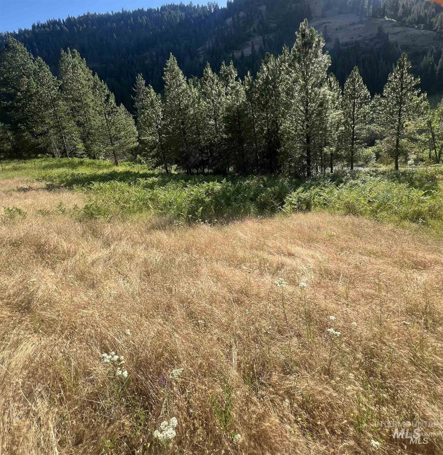NKA Clearcreek Rd, Kooskia, Idaho 83539, Land For Sale, Price $220,000,MLS 98973570